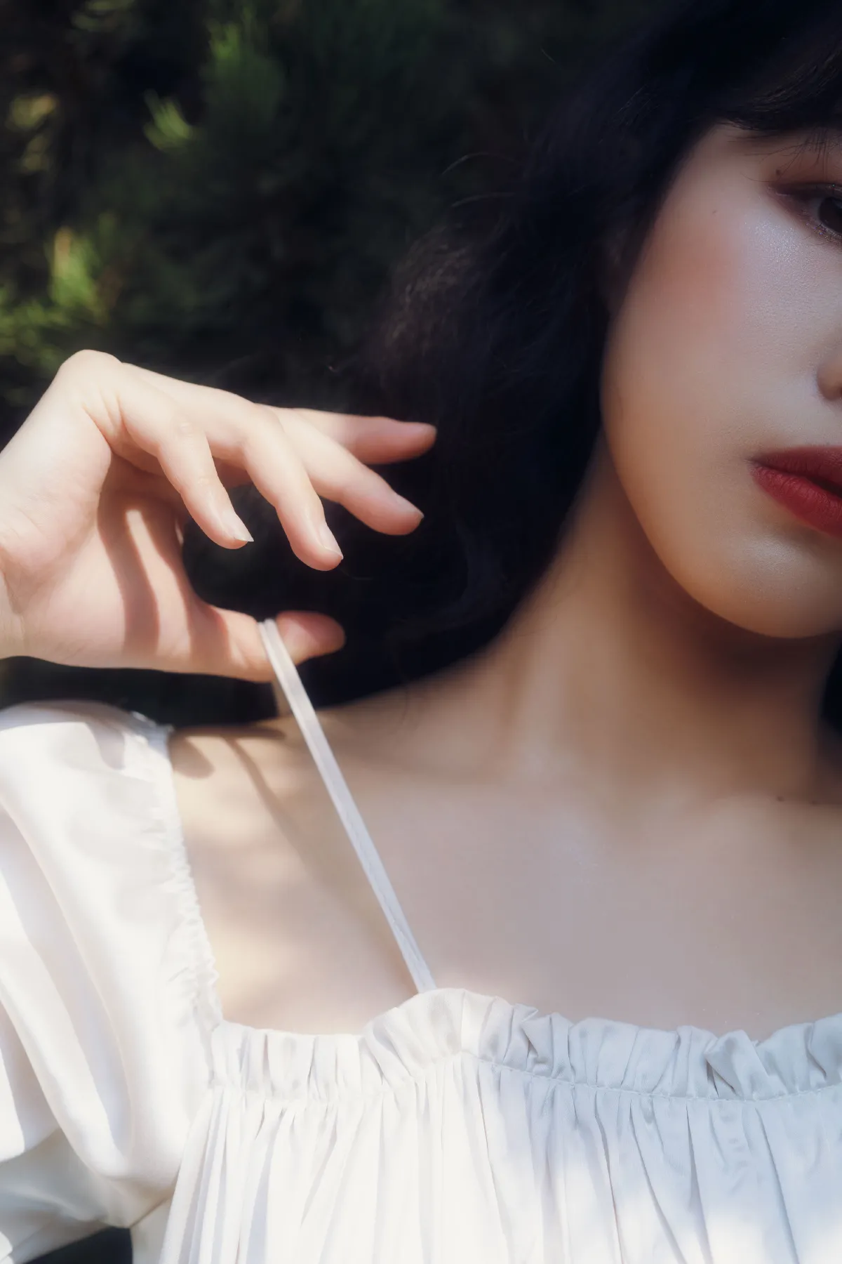 梦蝶