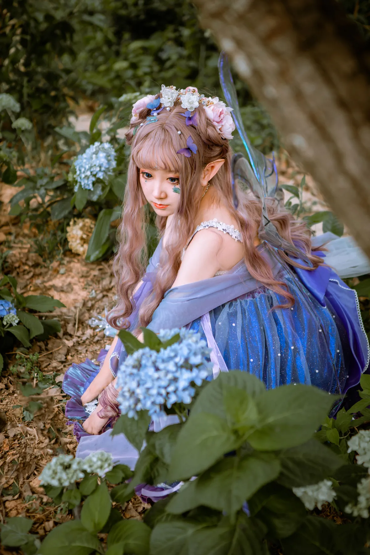 精灵花季