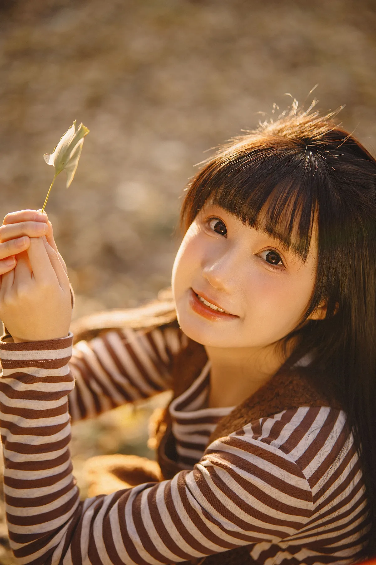 银杏小记