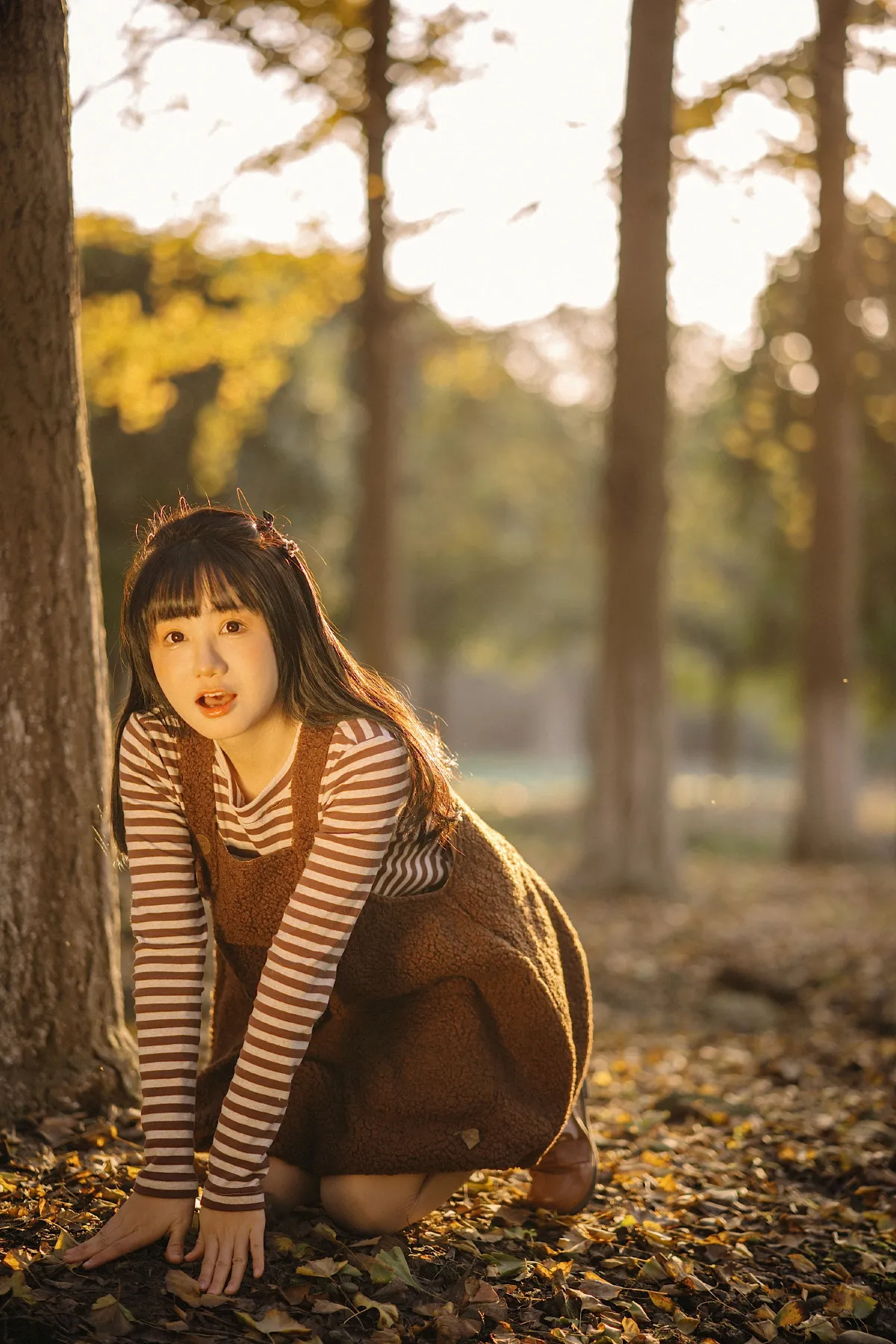 银杏小记