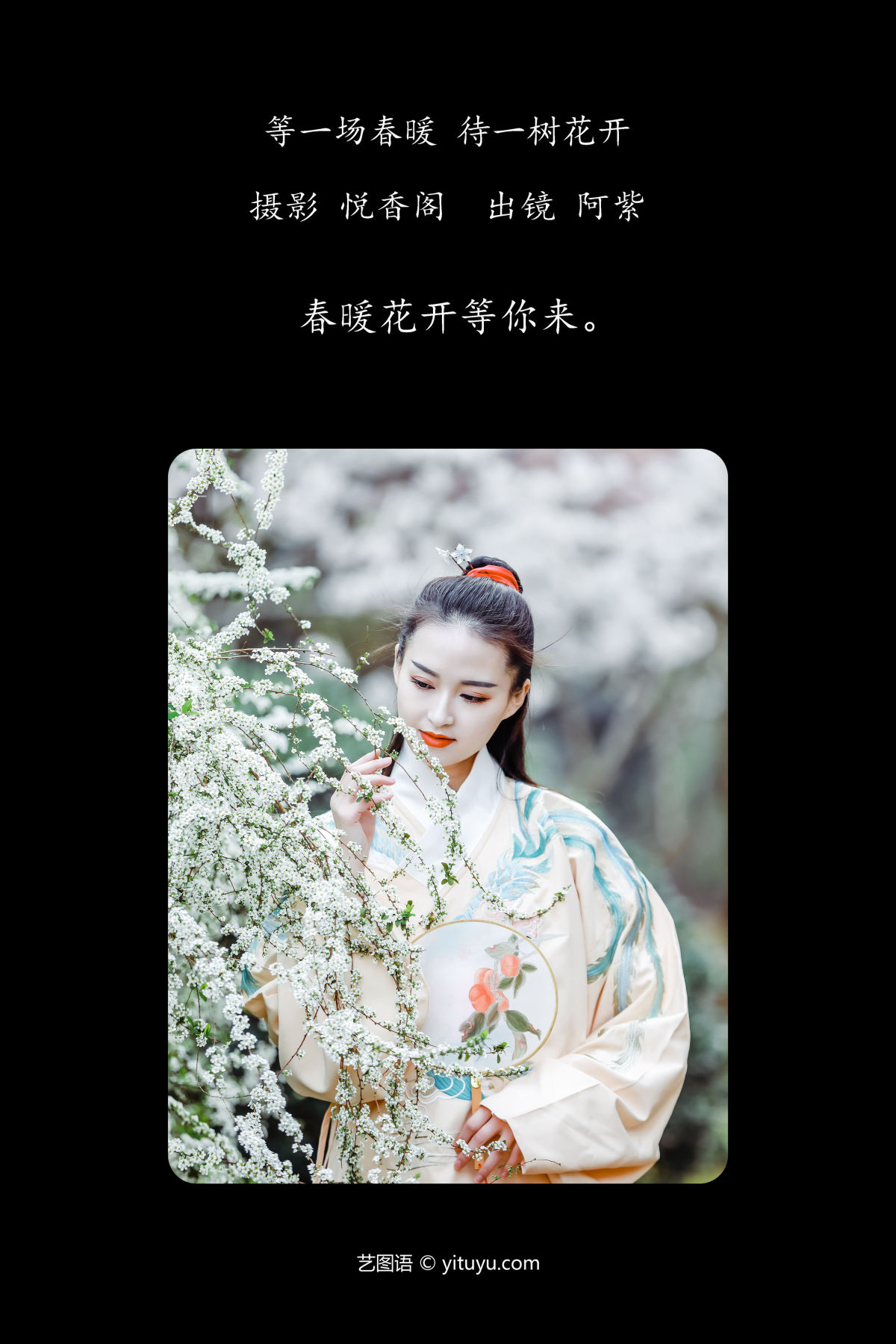 悦香阁_阿紫《等一场春暖 待一树花开》美图作品图片2