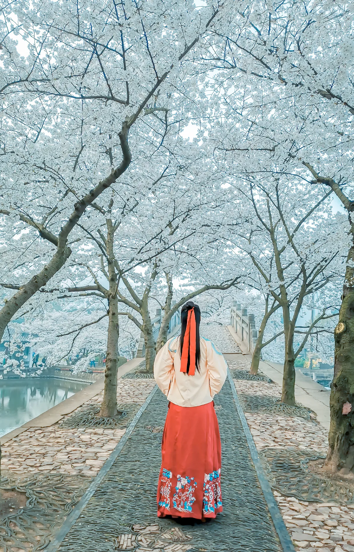 悦香阁_阿紫《等一场春暖 待一树花开》美图作品图片3