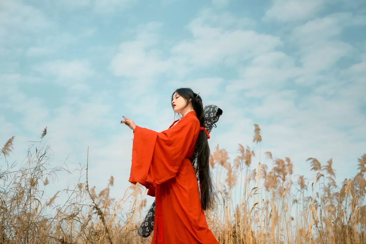 芦苇乐修