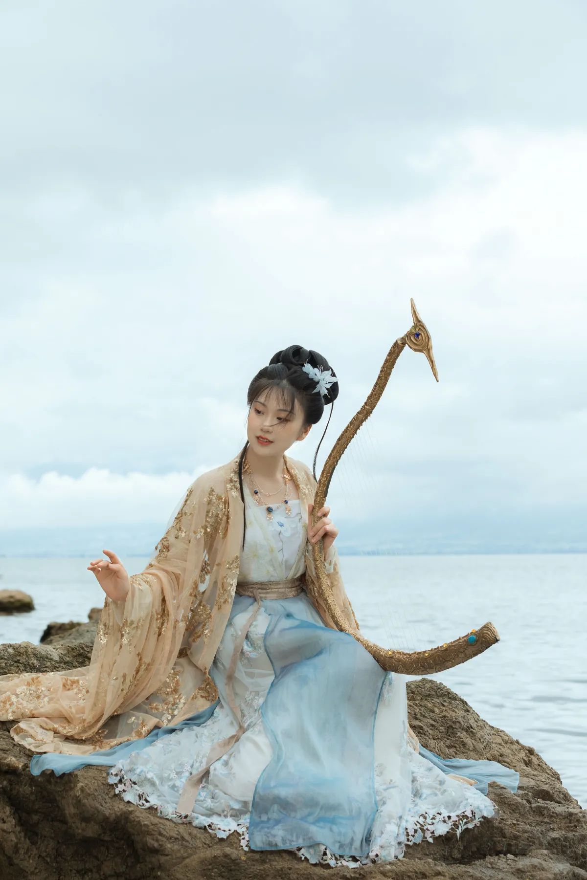 莲蕊香尘1