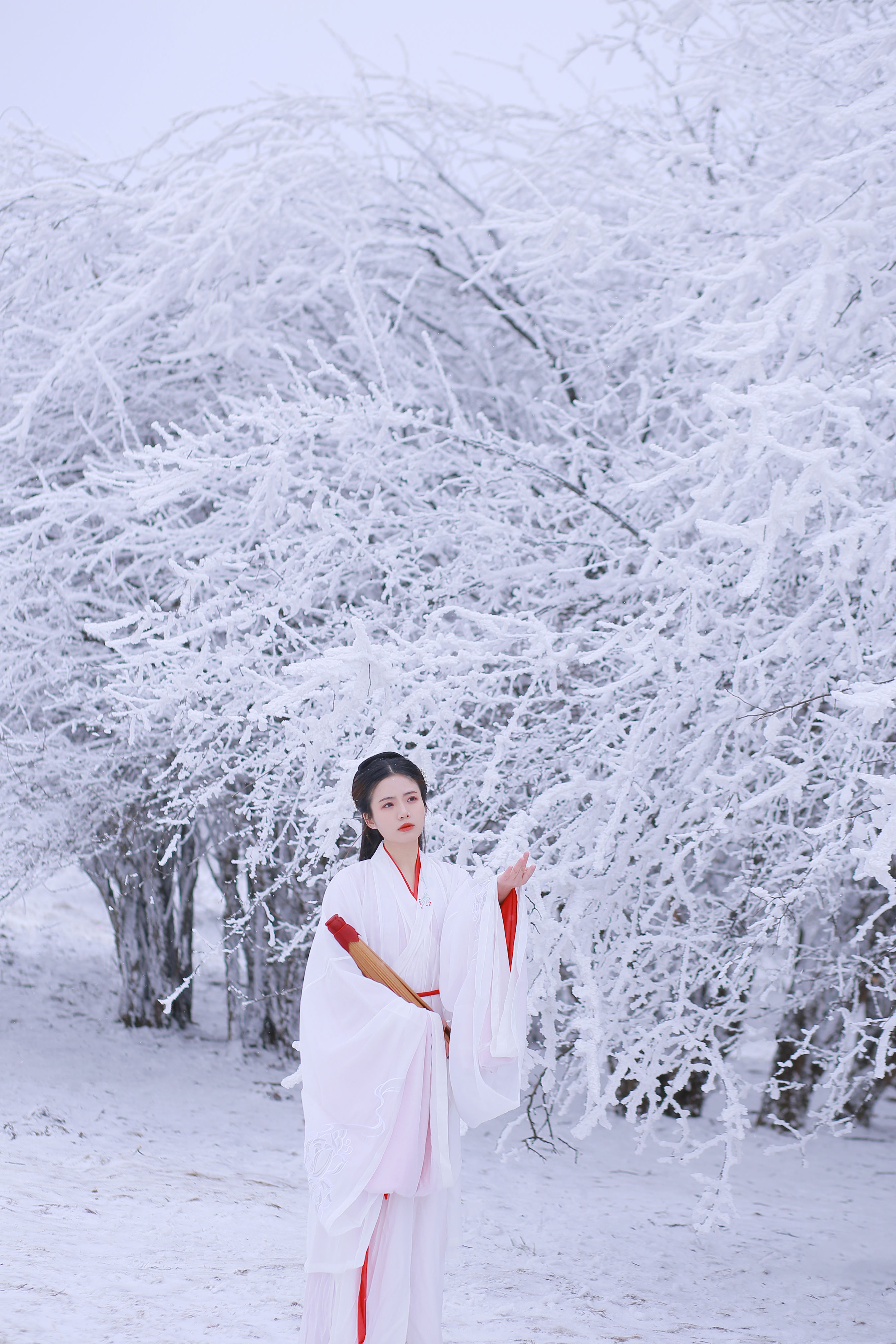 山中雪后