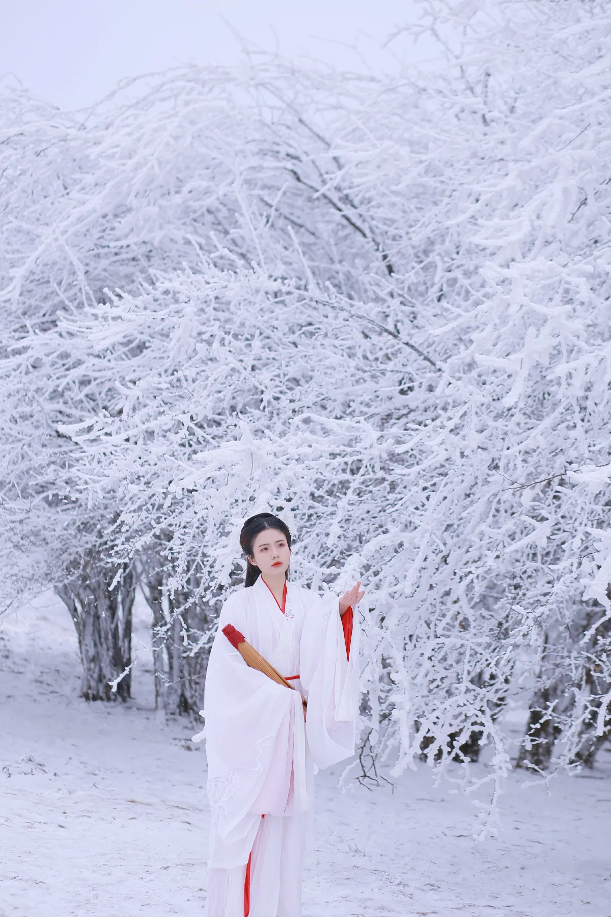 山中雪后