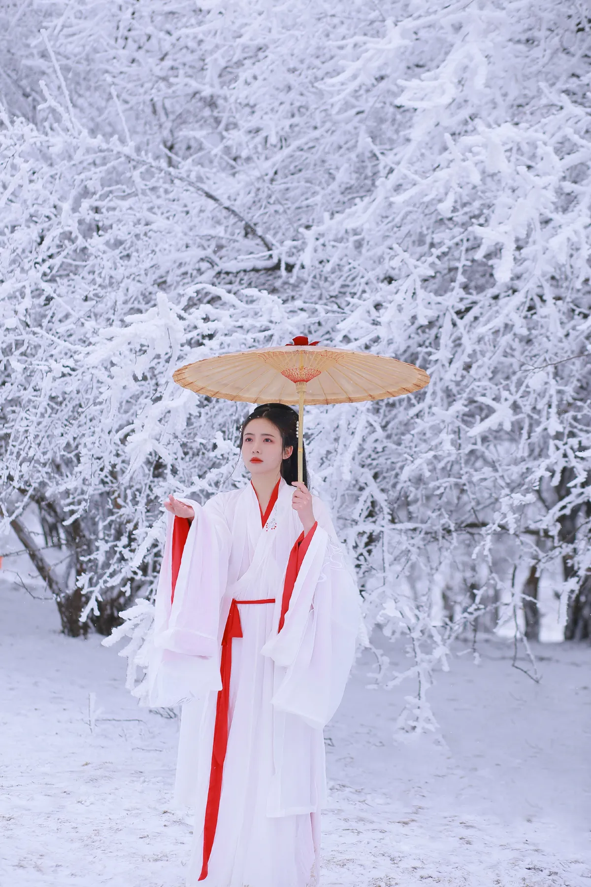 山中雪后