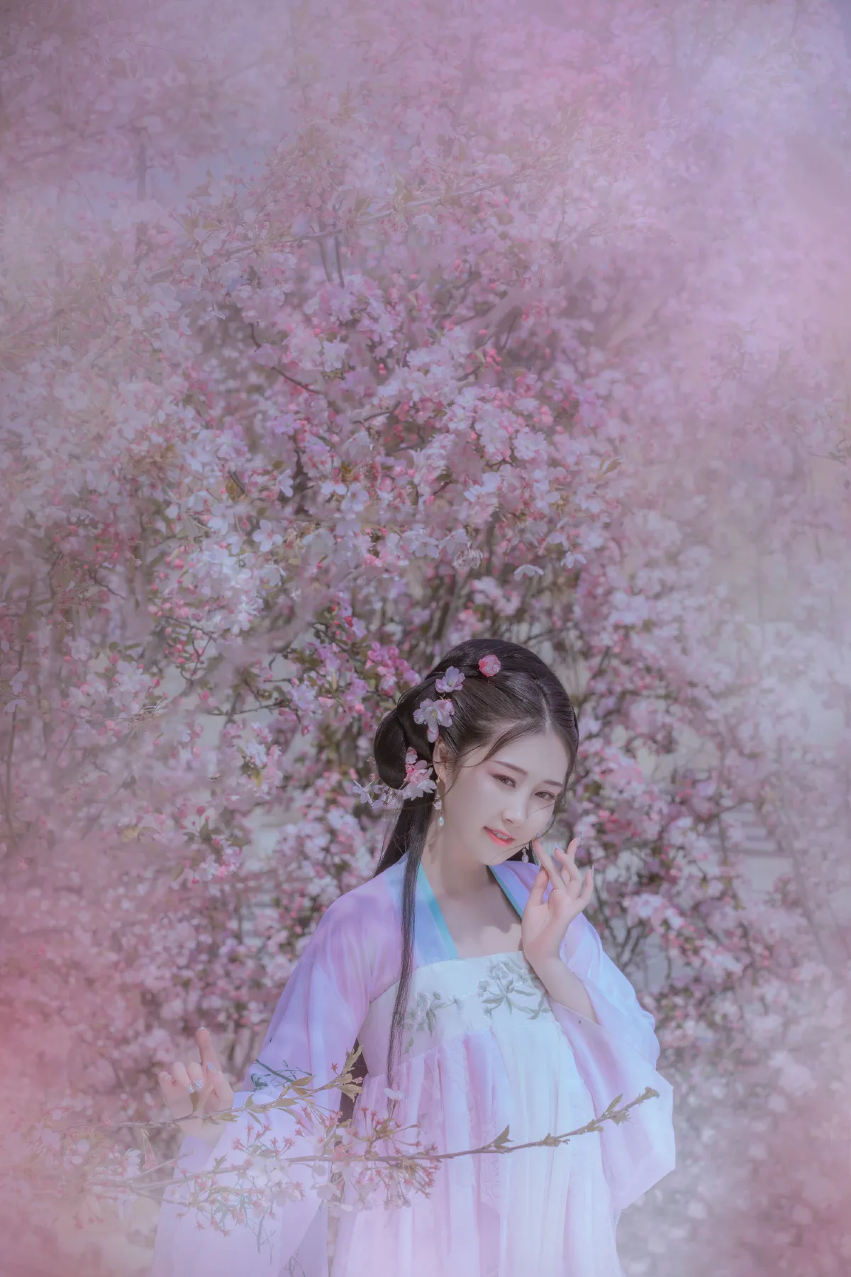 陌上花1