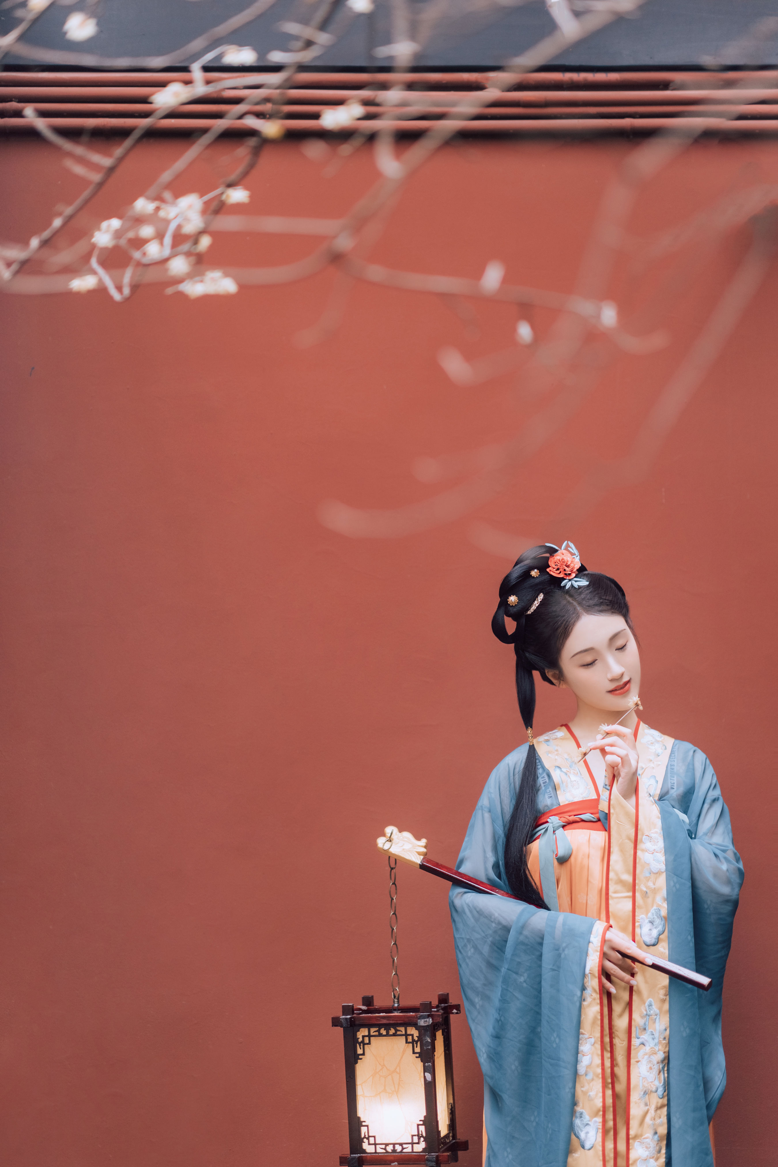 寒梅