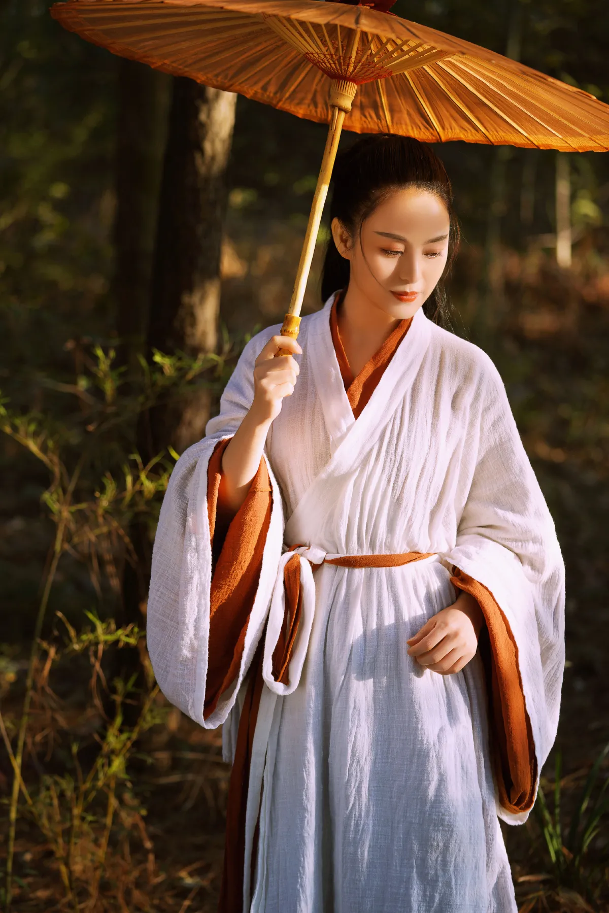 侠女梦