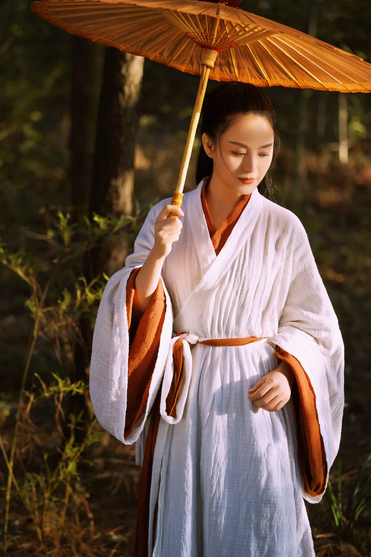 侠女梦1