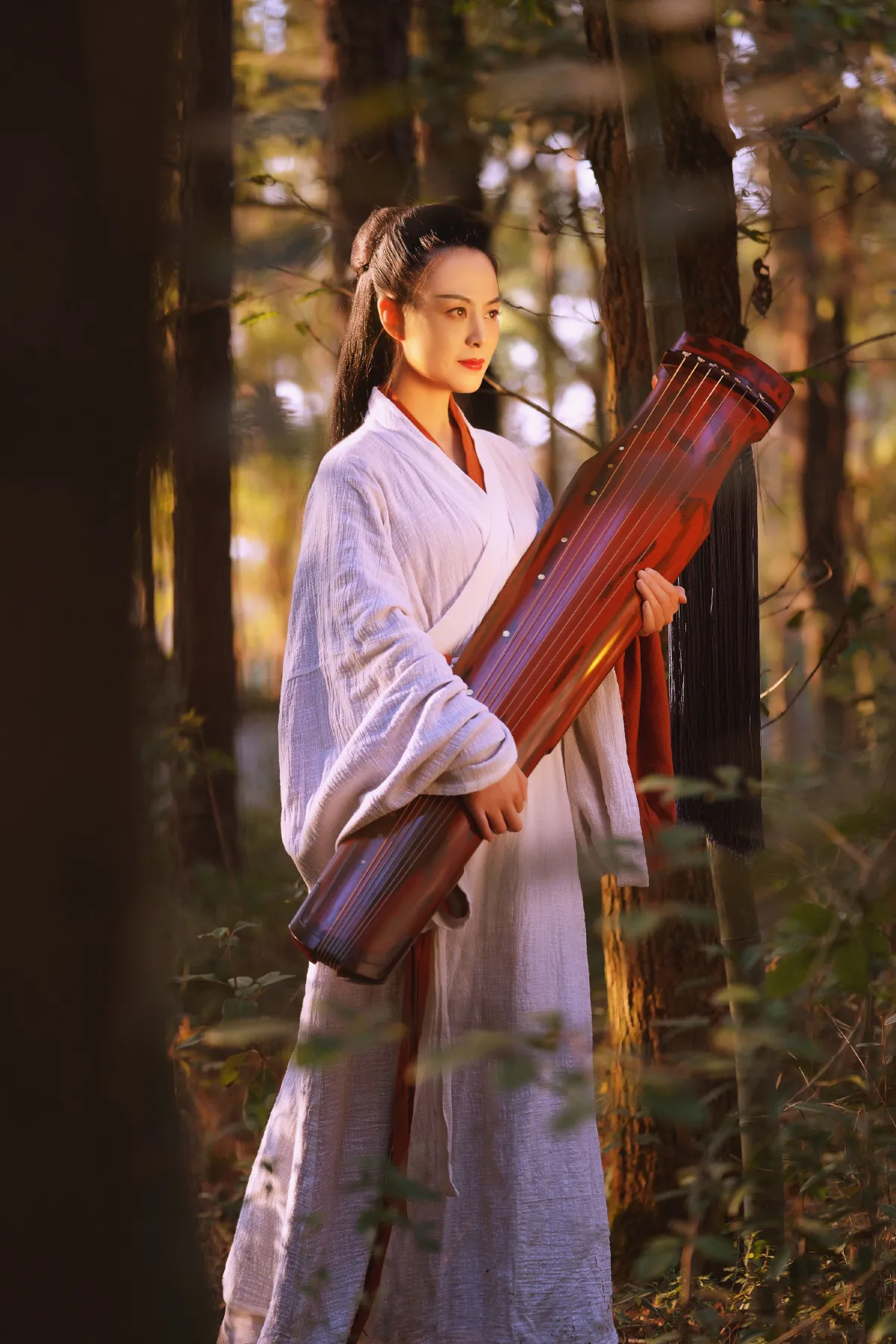 侠女梦2