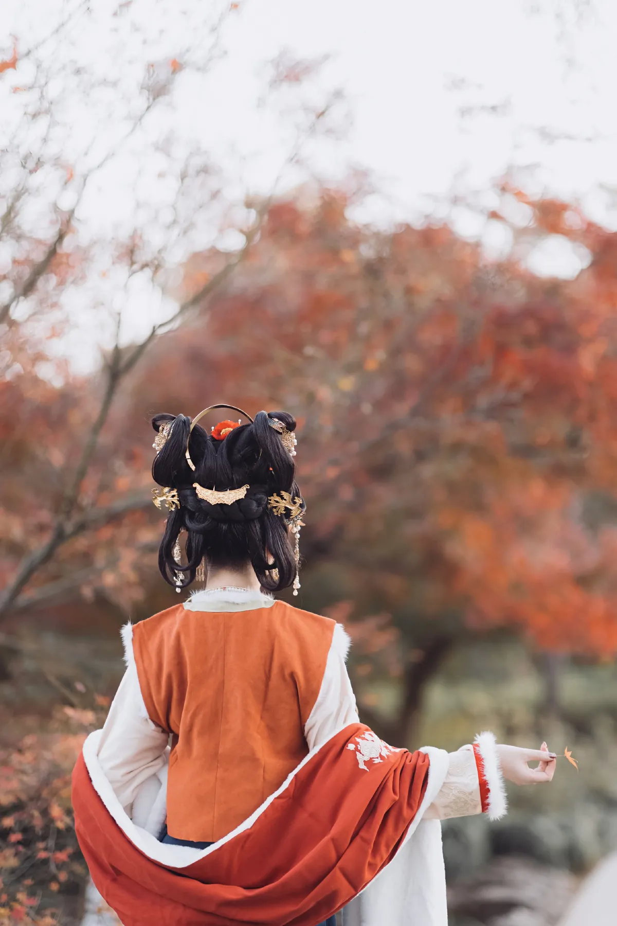 丹枫秋思3