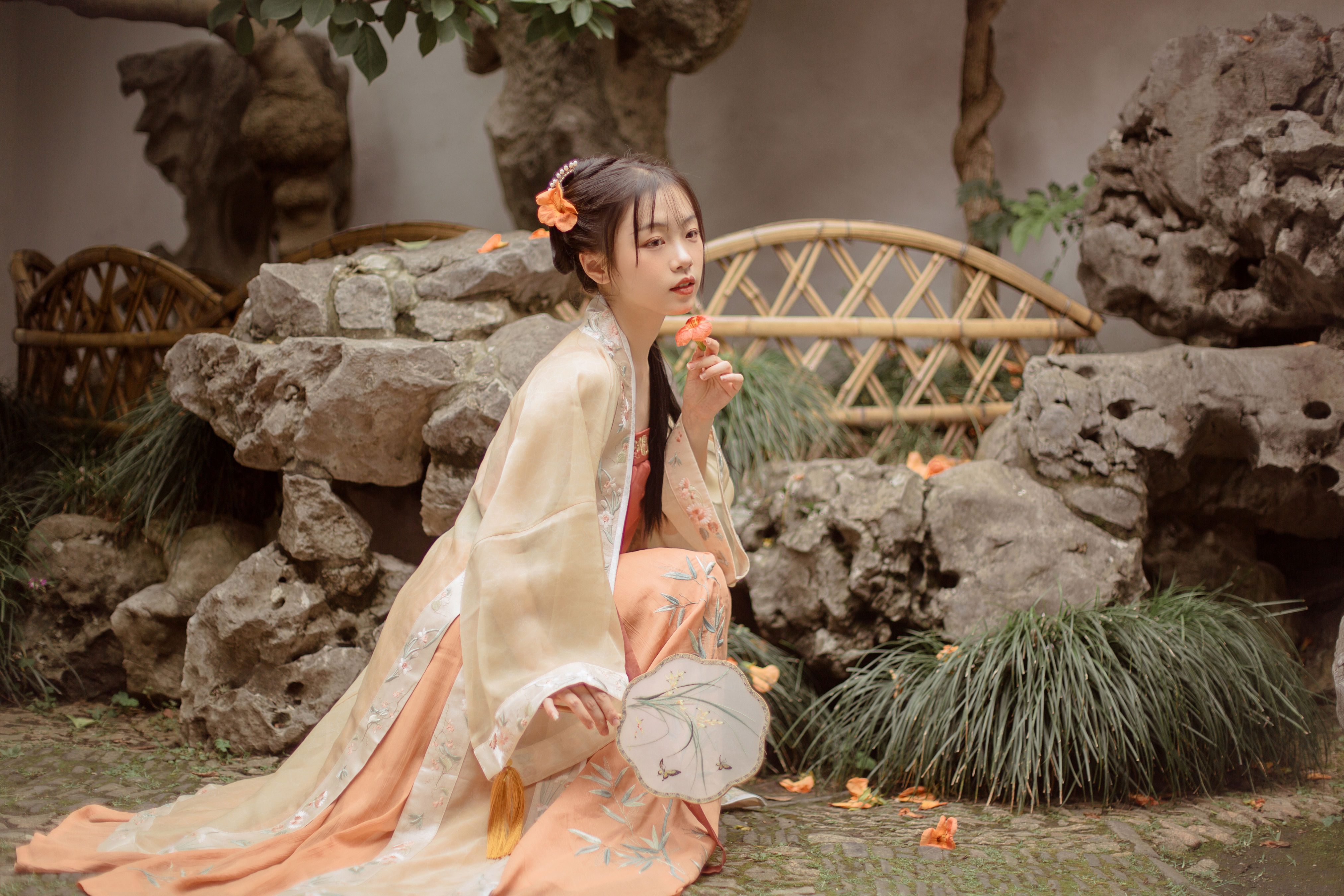 凌霄花