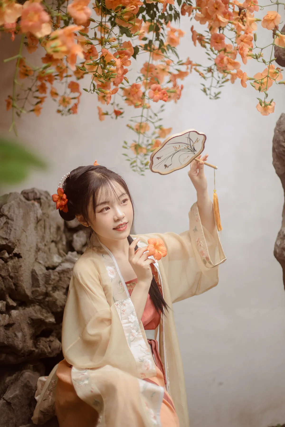 凌霄花