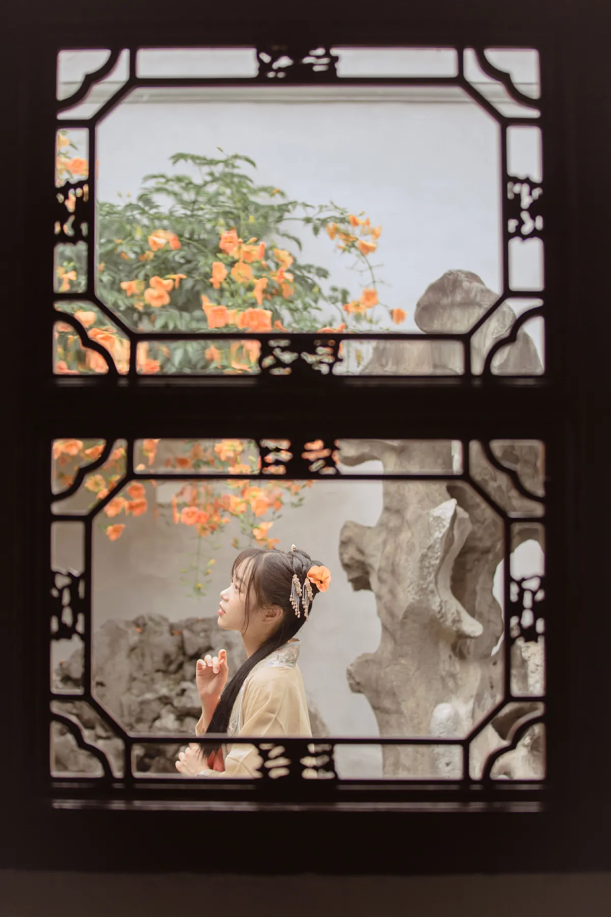 凌霄花