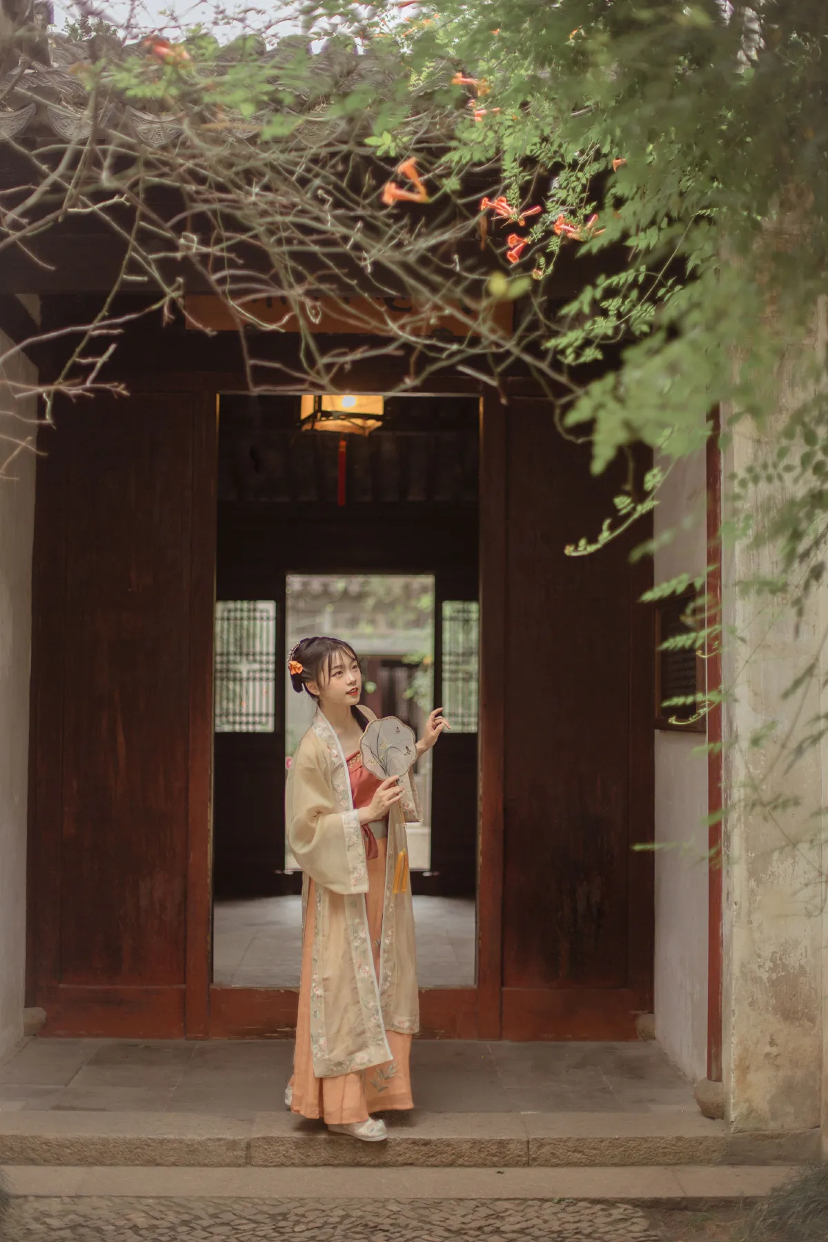 凌霄花