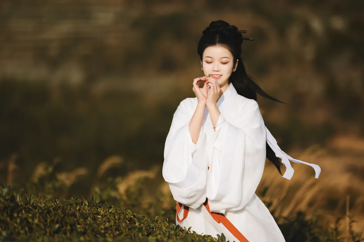 采茶1
