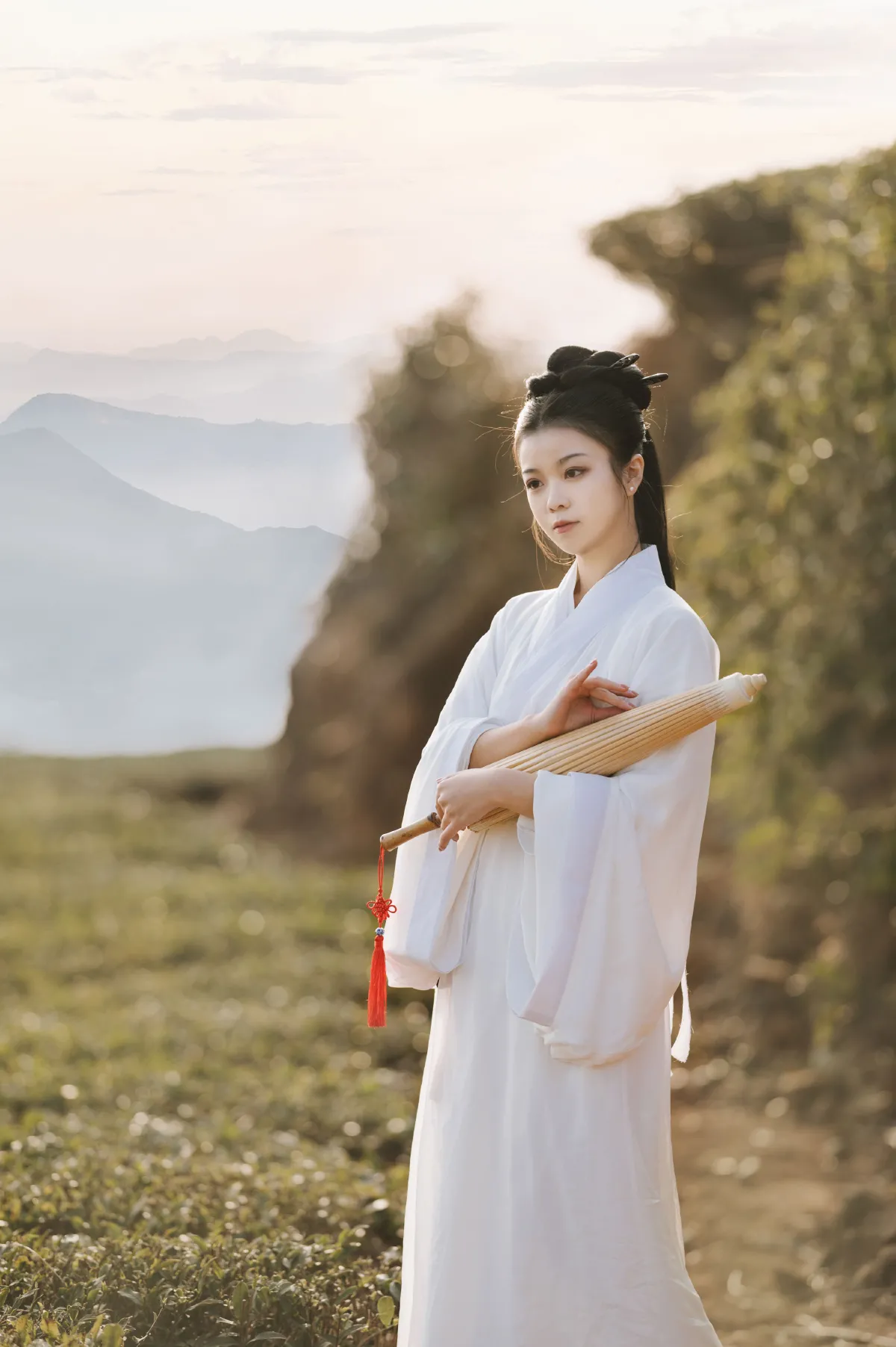 采茶