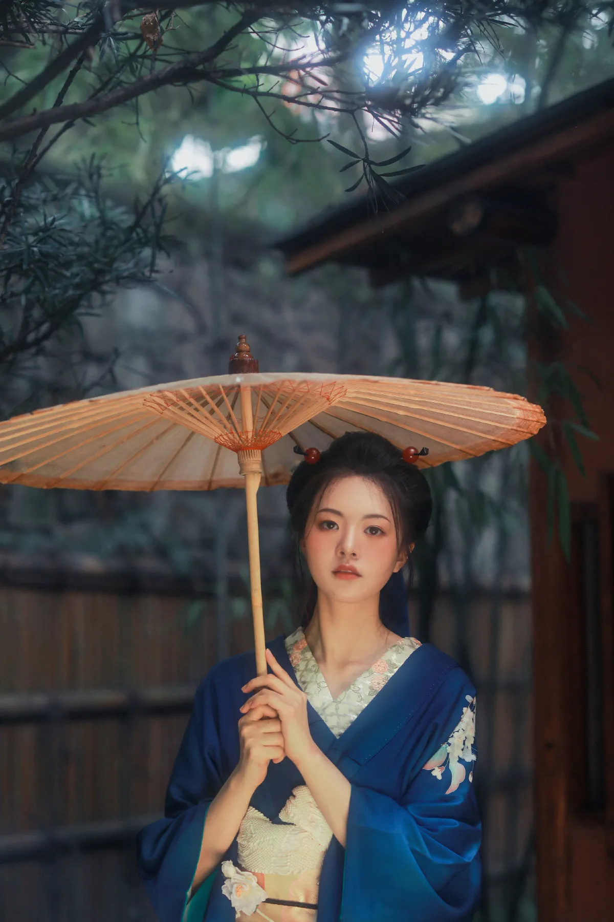 温柔的眼眸2