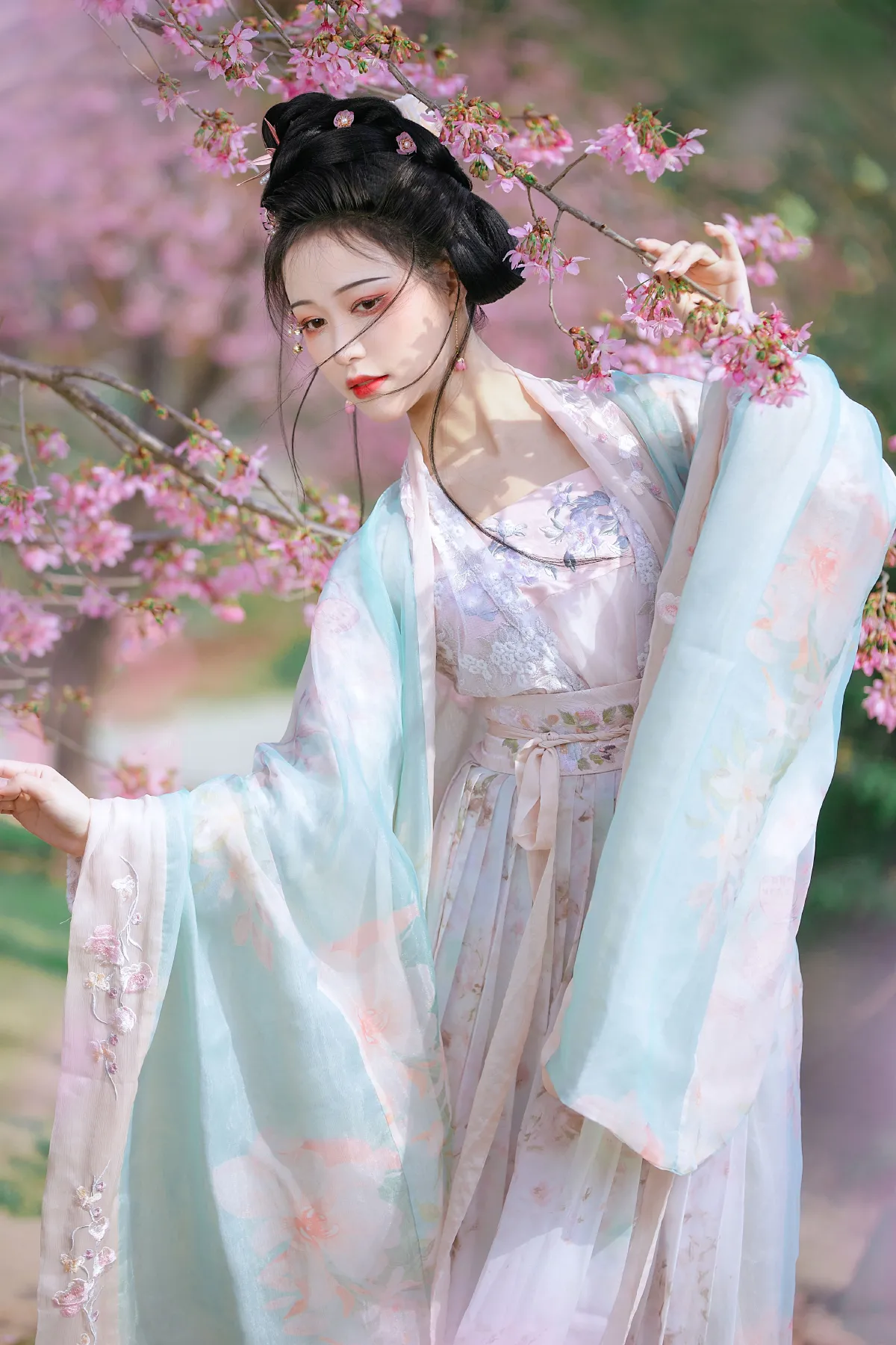 春樱1