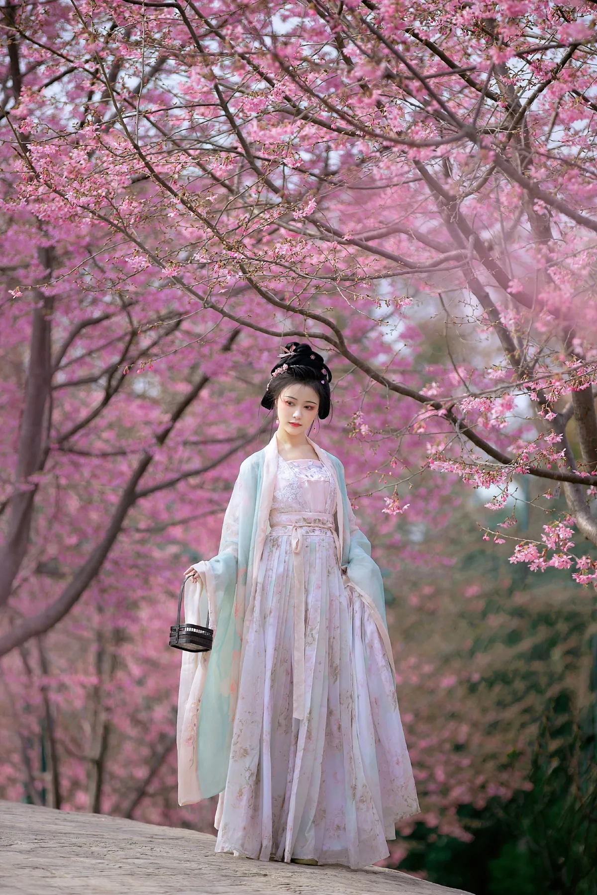 春樱