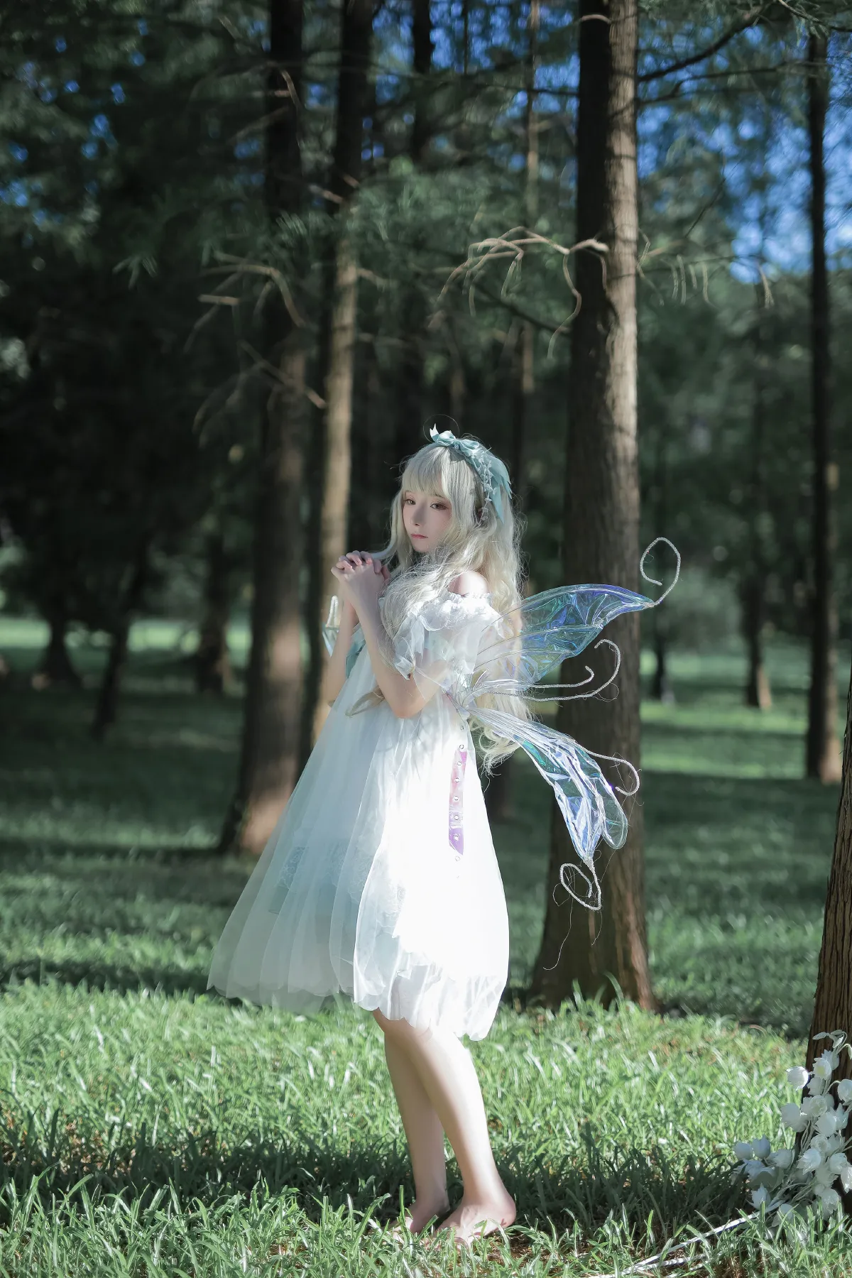 林中精灵
