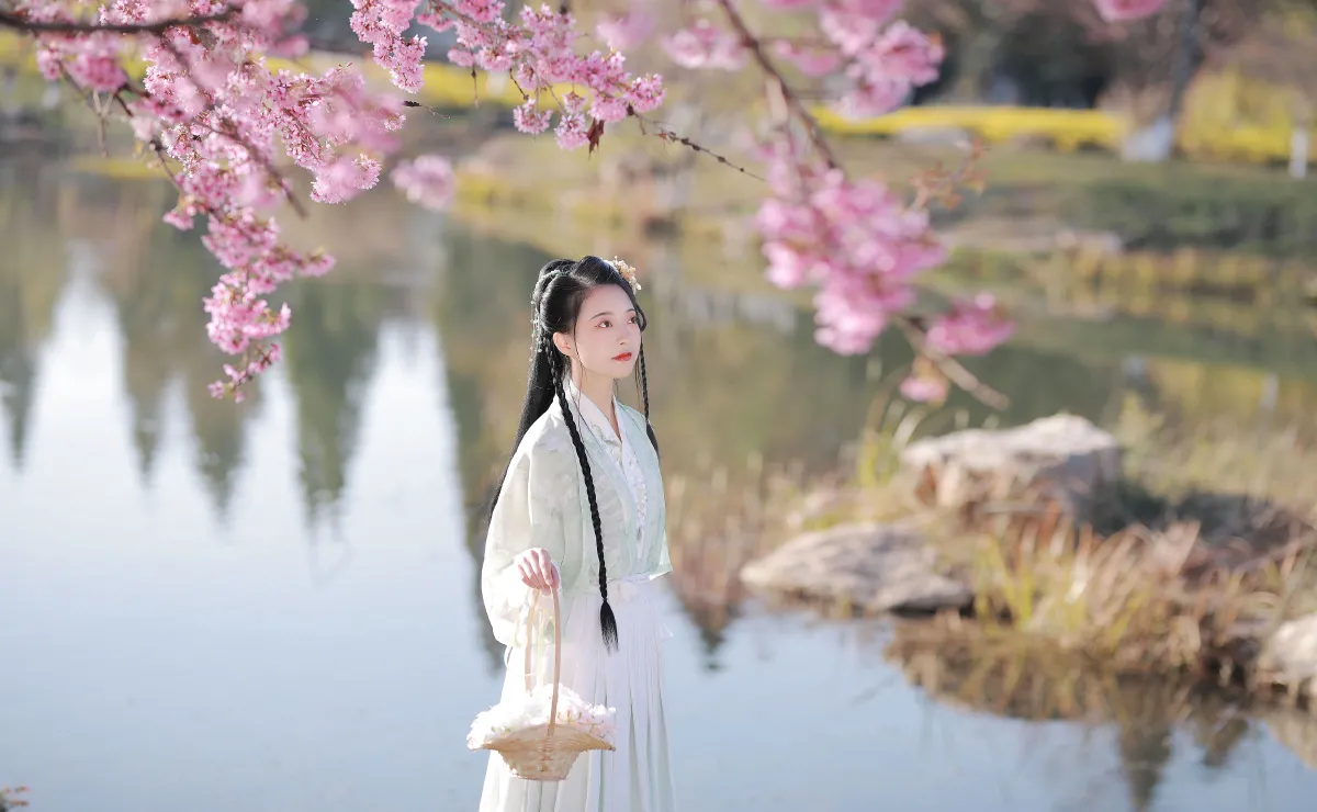 樱花
