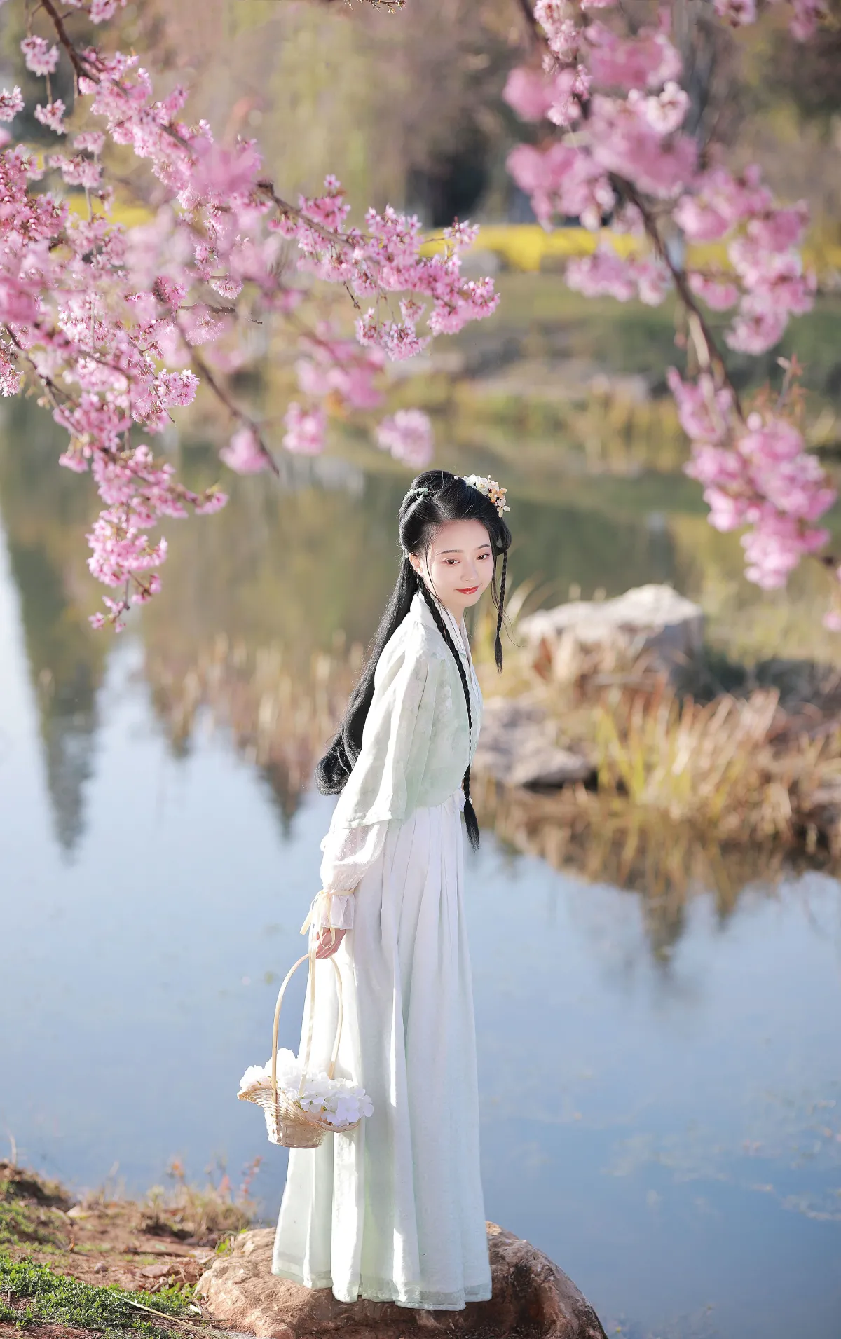樱花3