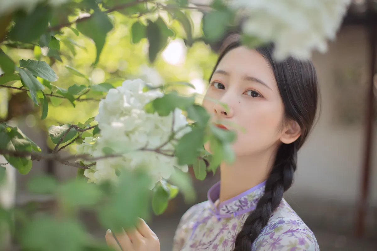 穆穆清风至1