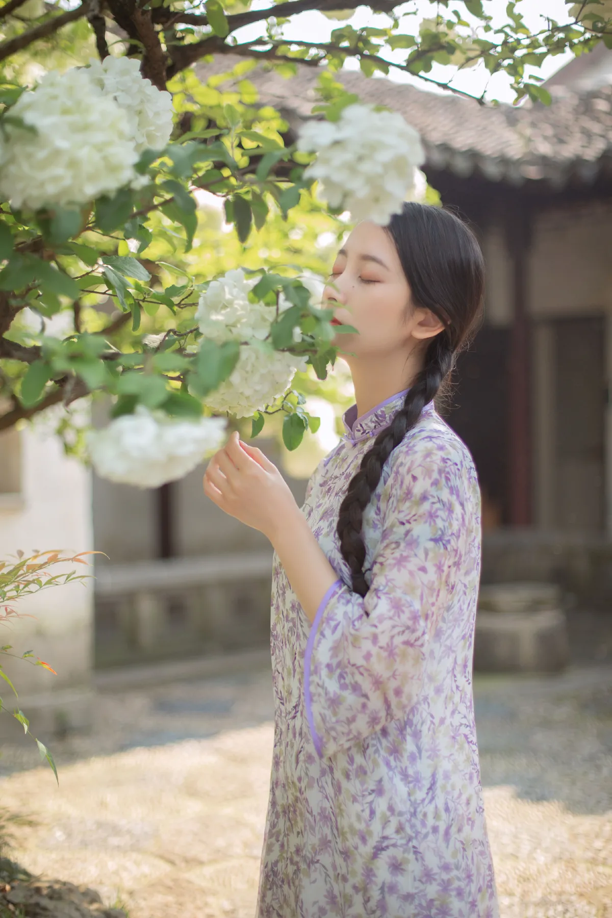 穆穆清风至