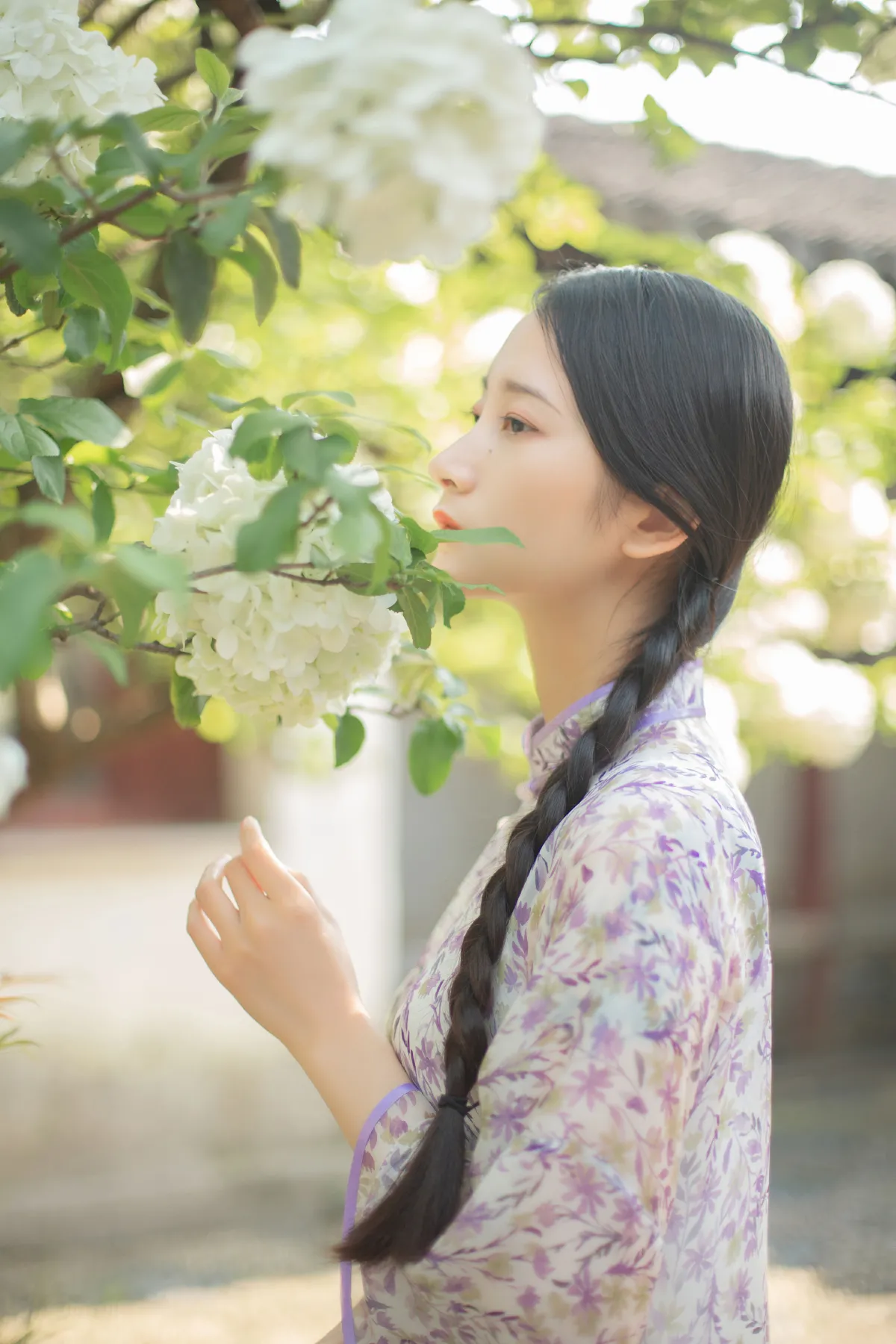 穆穆清风至