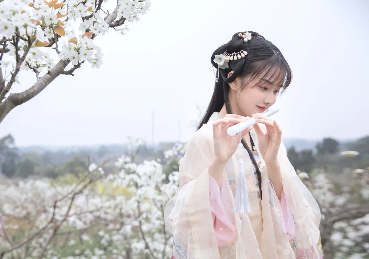 梨花2
