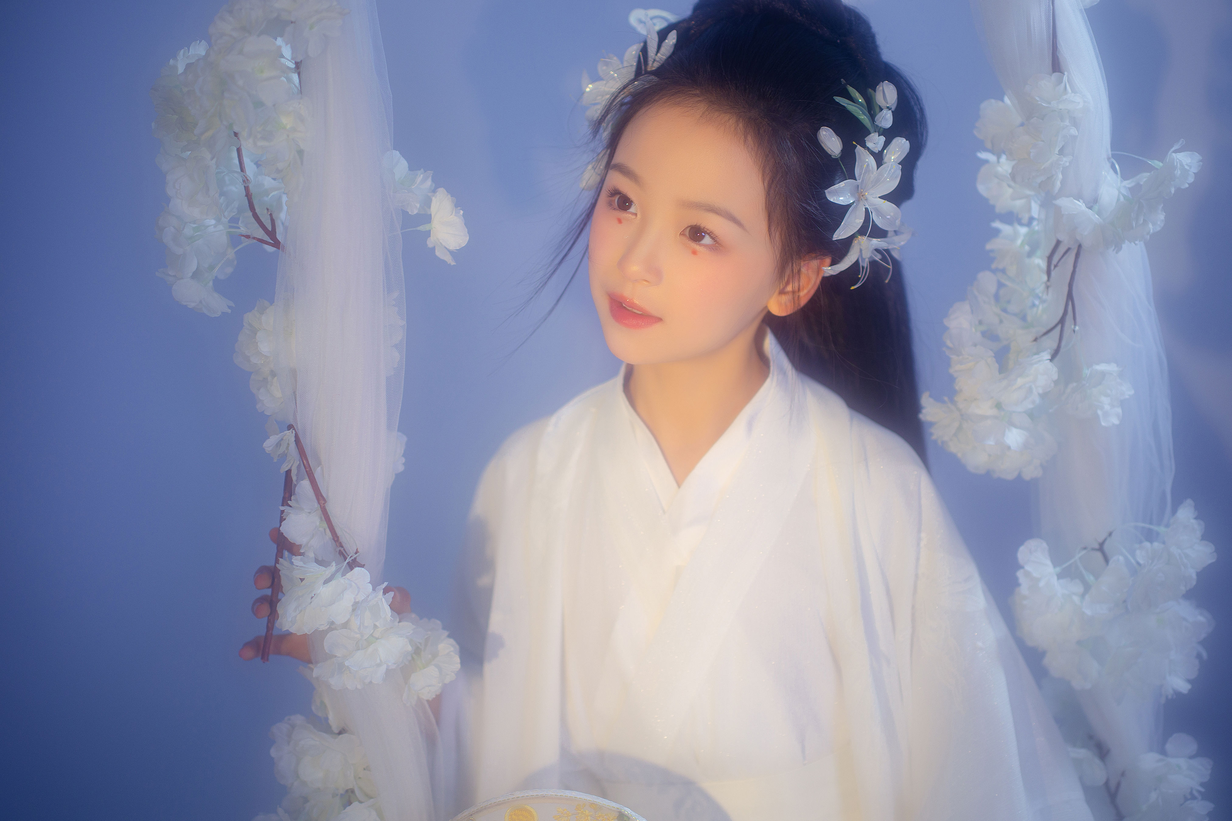 玉簪花