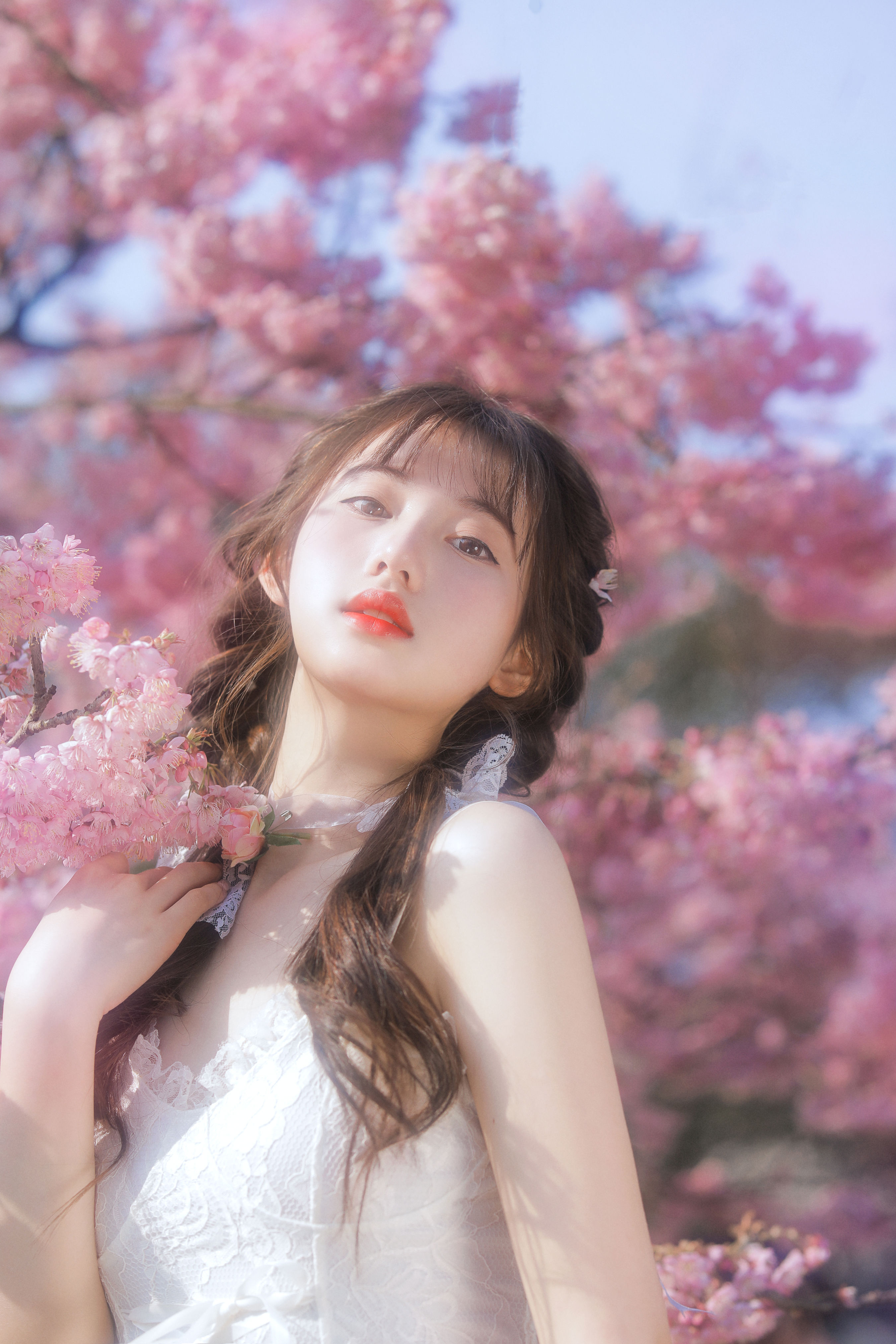 樱花限定