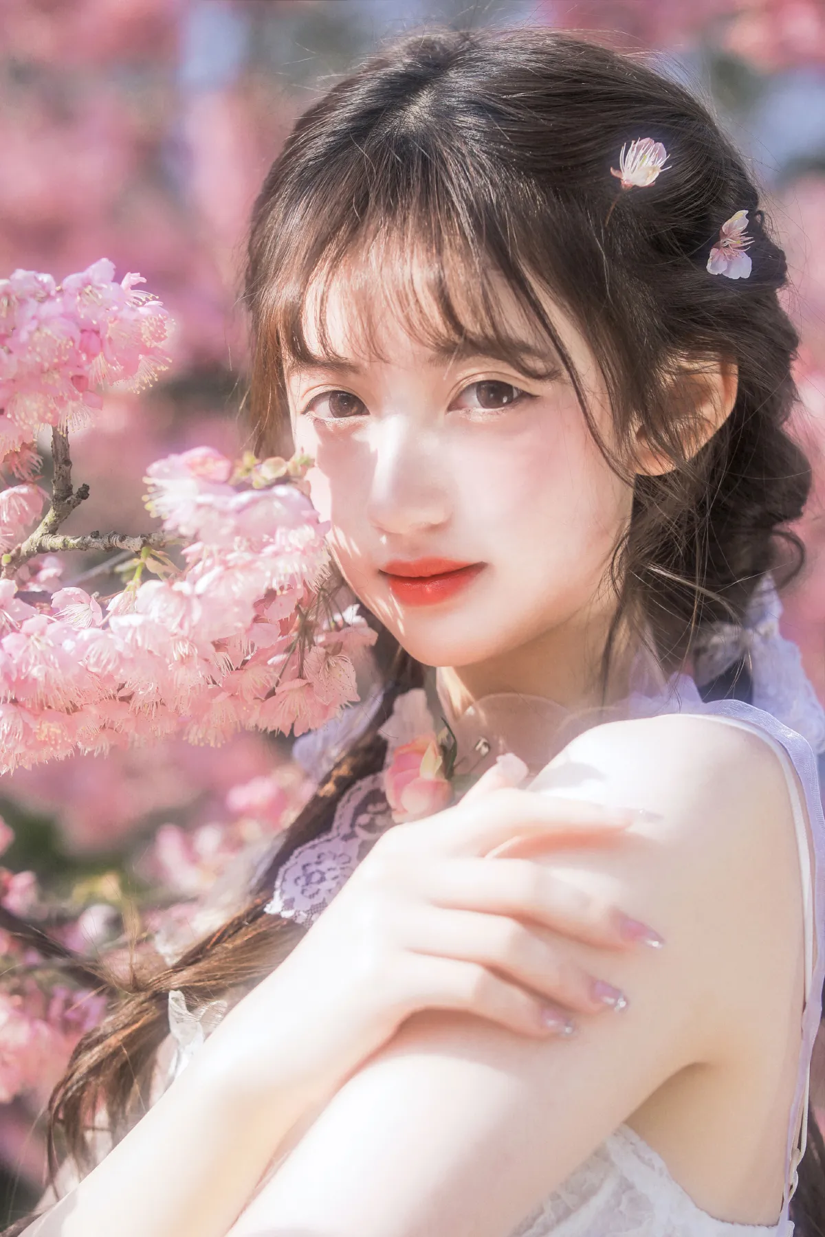 樱花限定