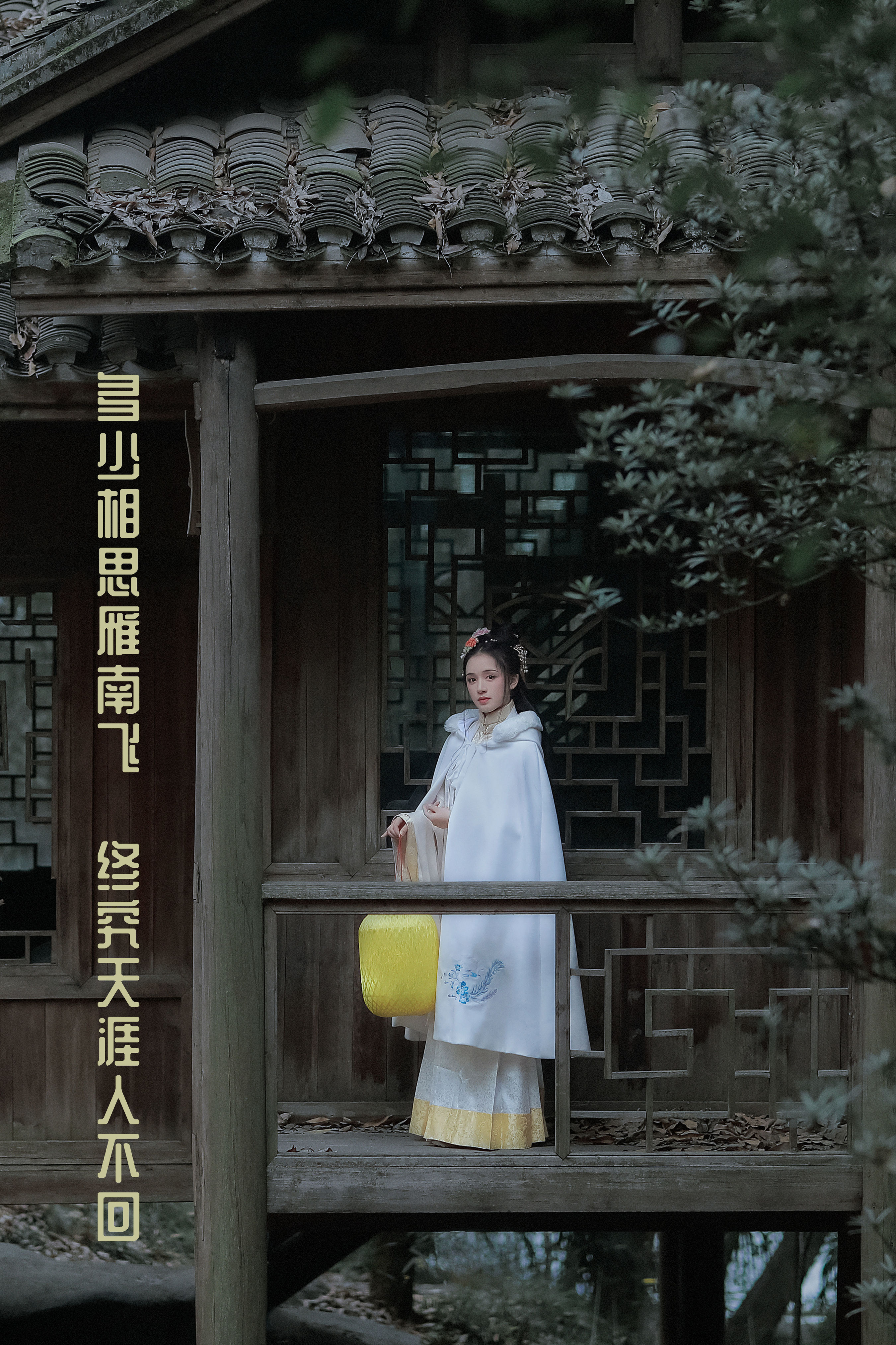 子瞬_唐思佳Sylvia《多少相思雁南飞，终究天涯人不回》美图作品图片1