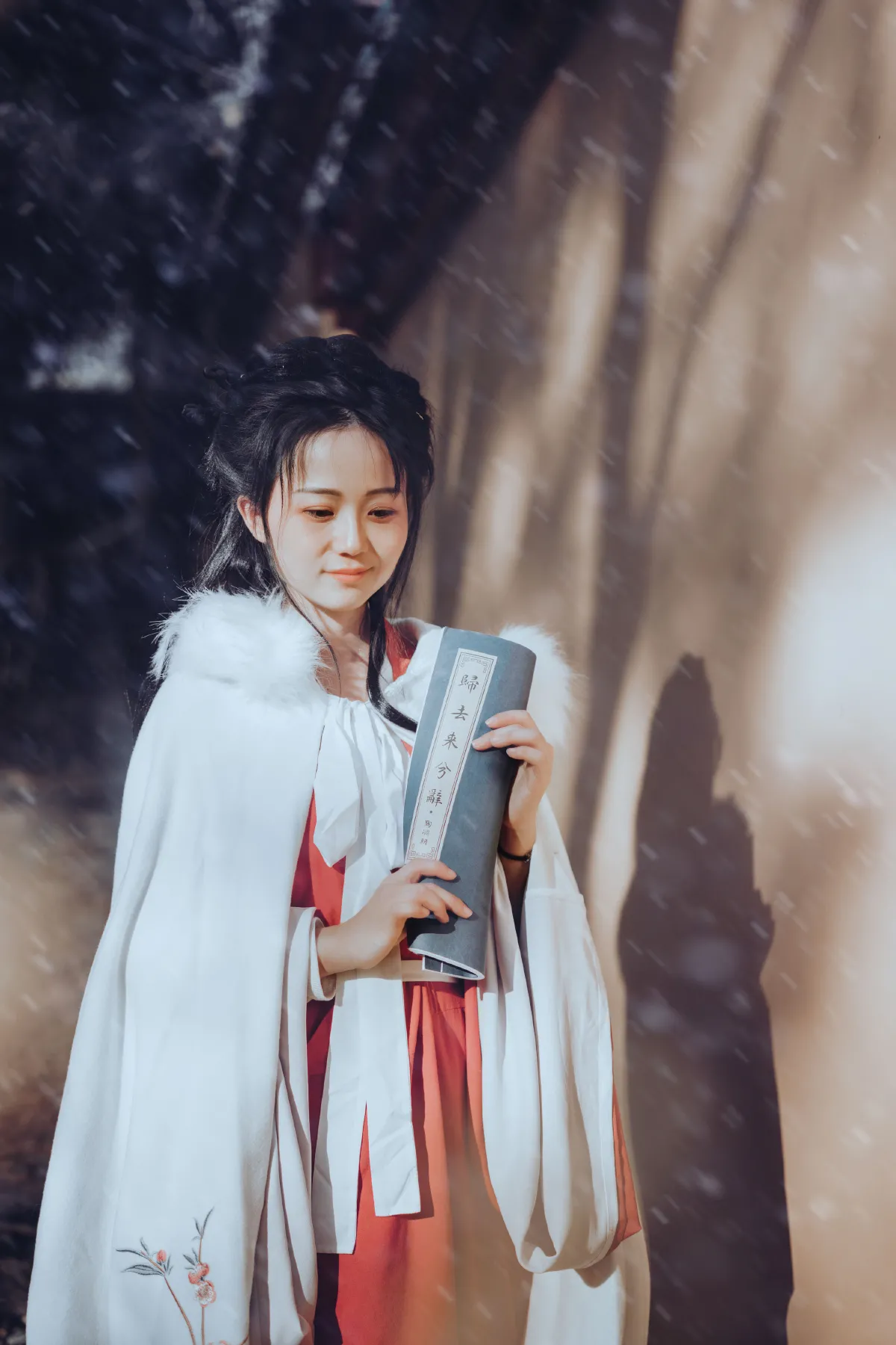 暮雪3