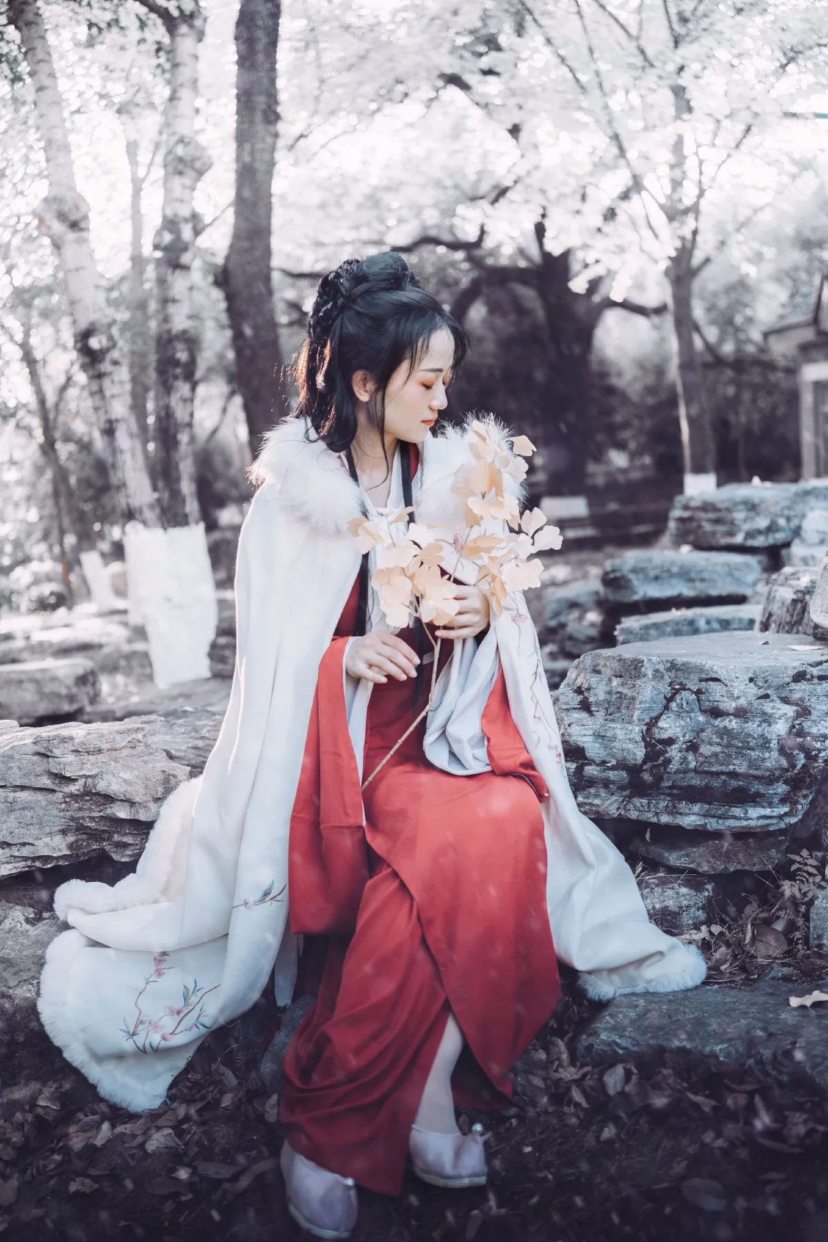 暮雪