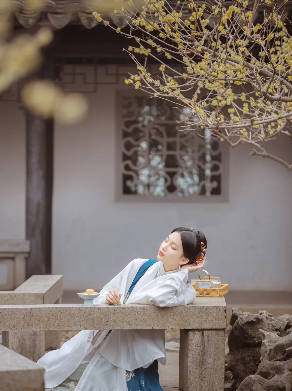 春事到桐花