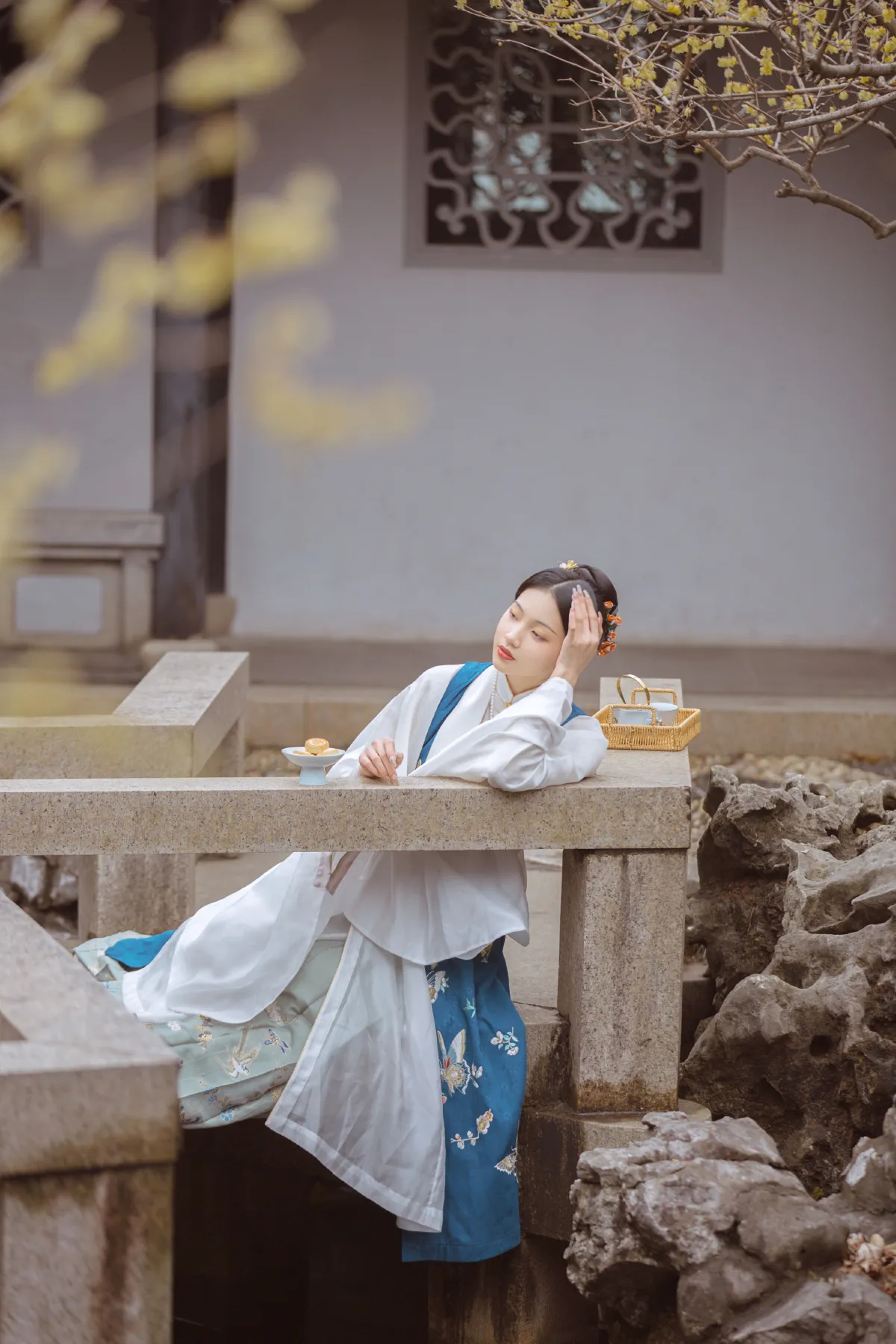 春事到桐花