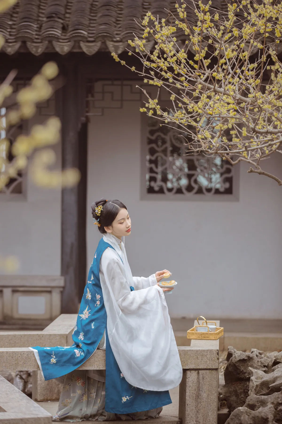 春事到桐花