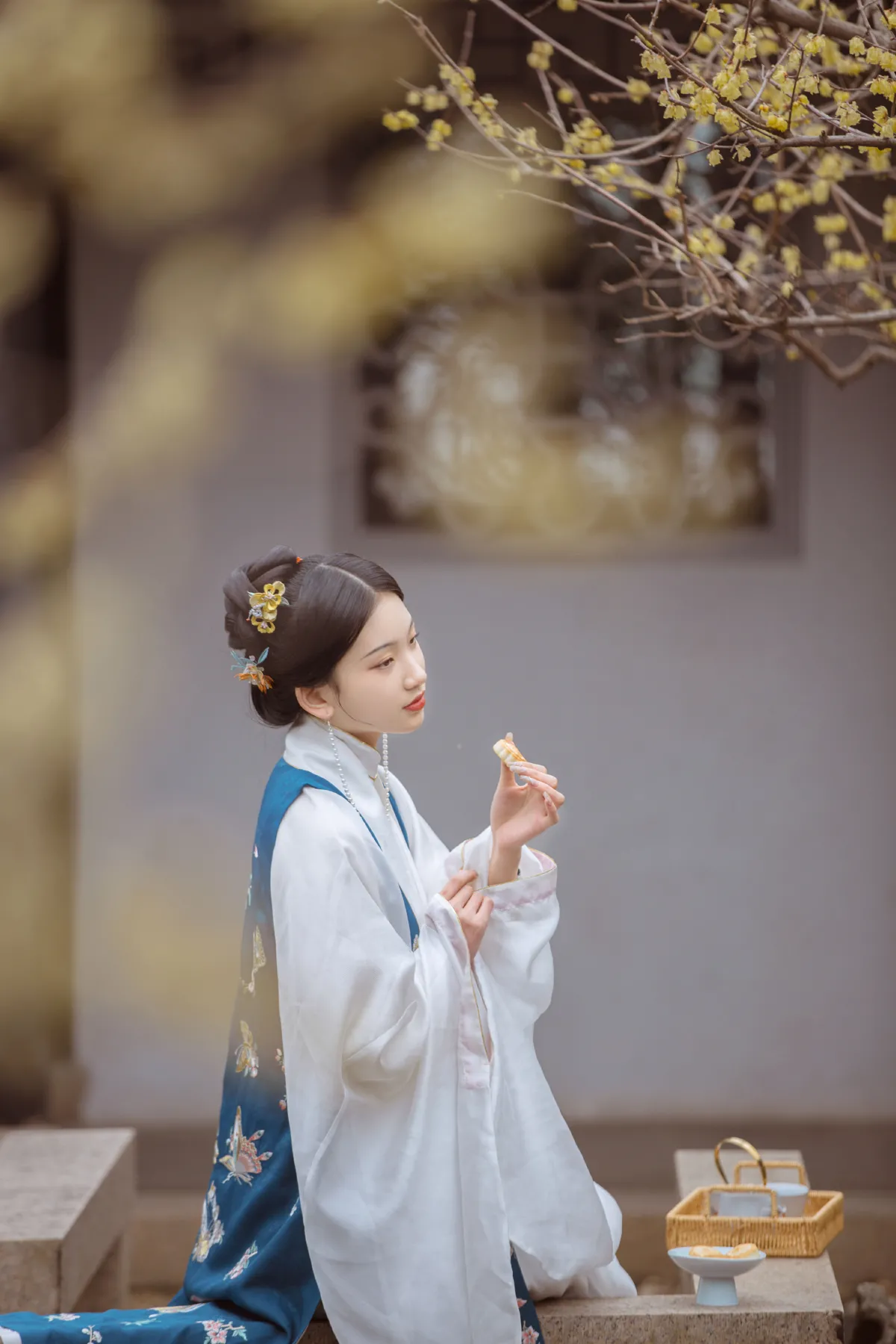 春事到桐花