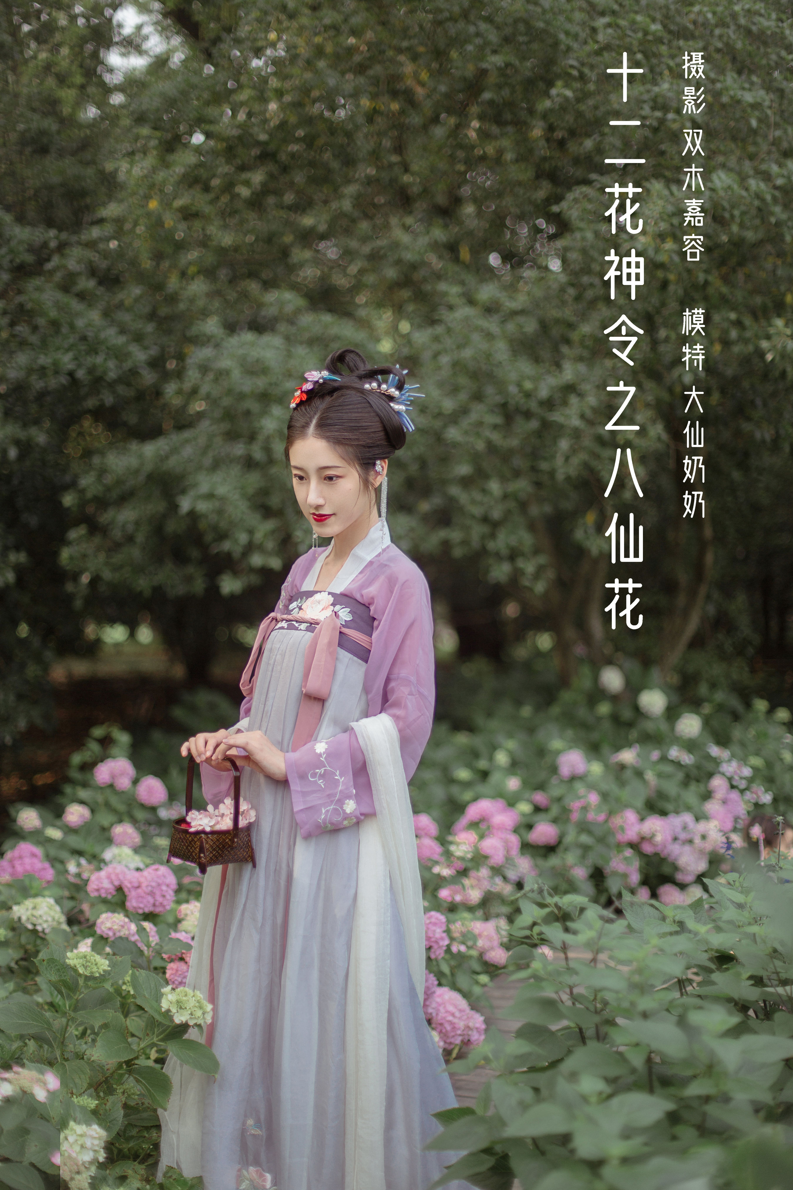 双木嘉容_大仙奶奶《十二花神令之八仙花》美图作品图片1