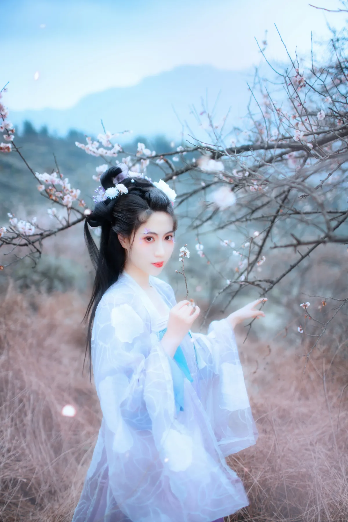 问梅子2