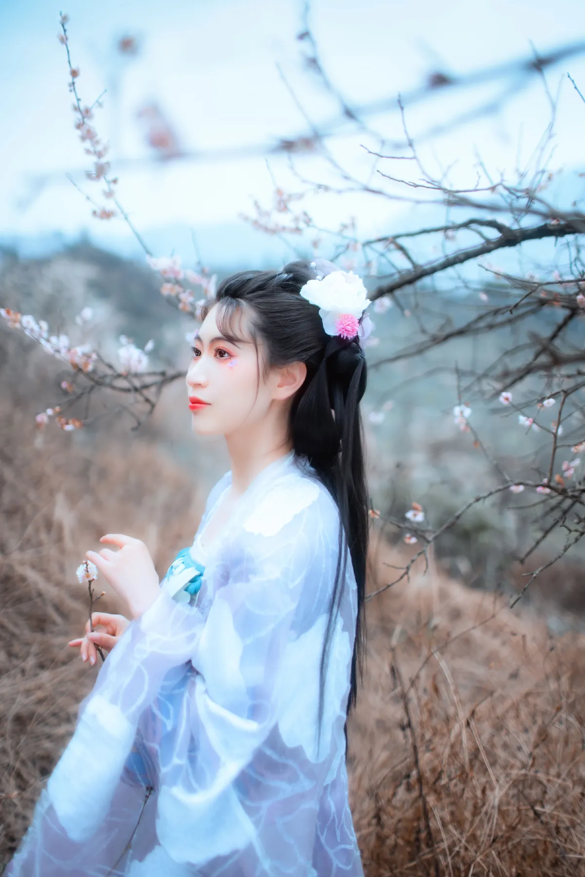 问梅子
