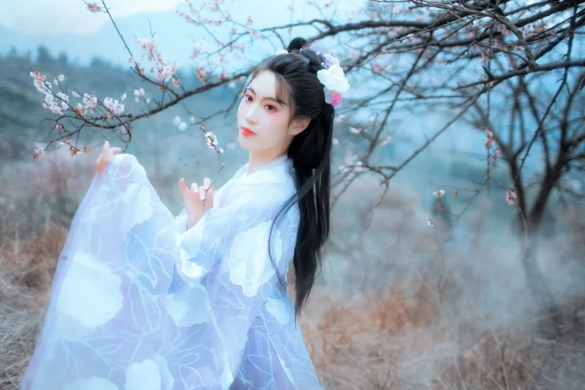 问梅子3