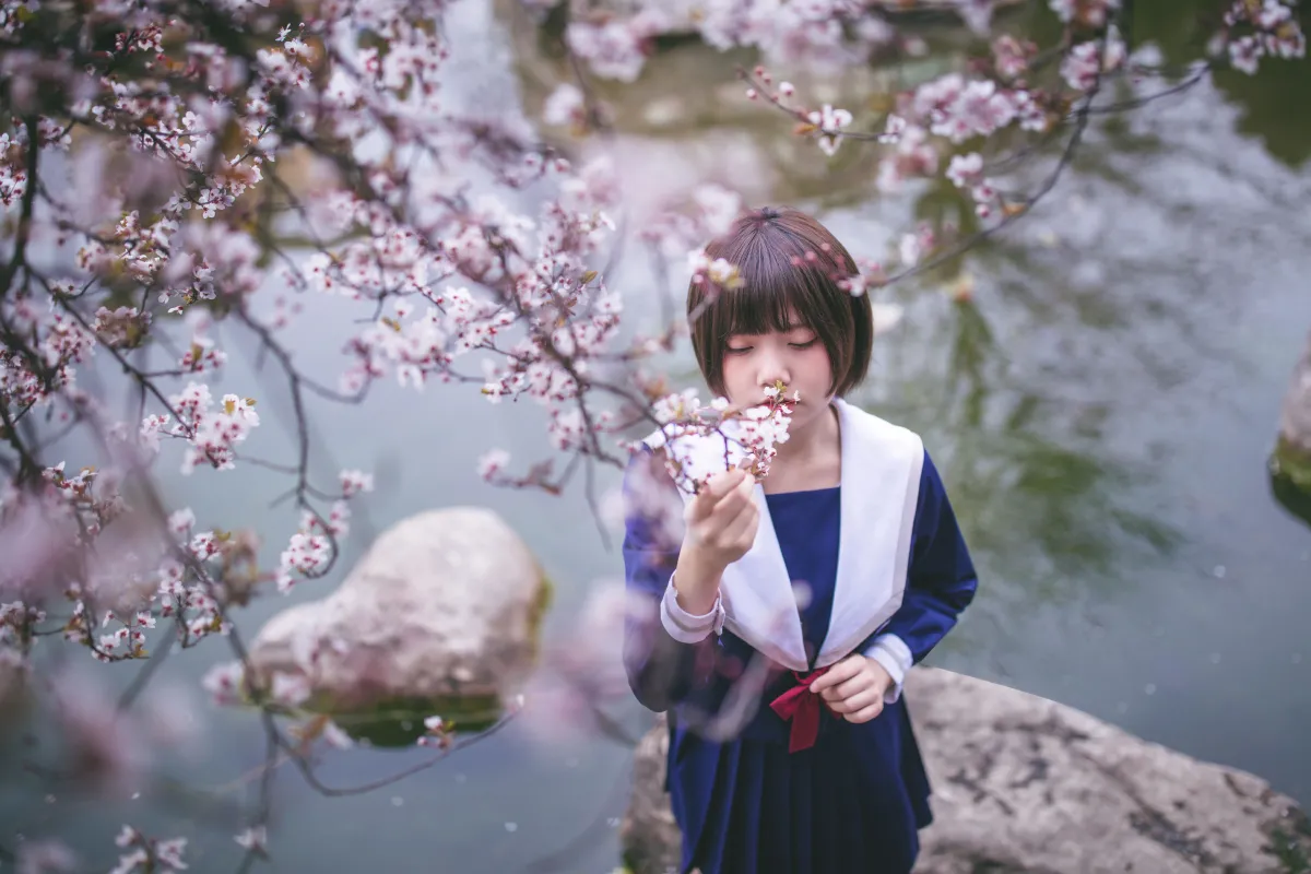 樱花树下1