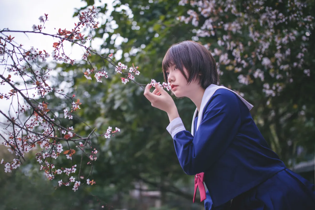 樱花树下2