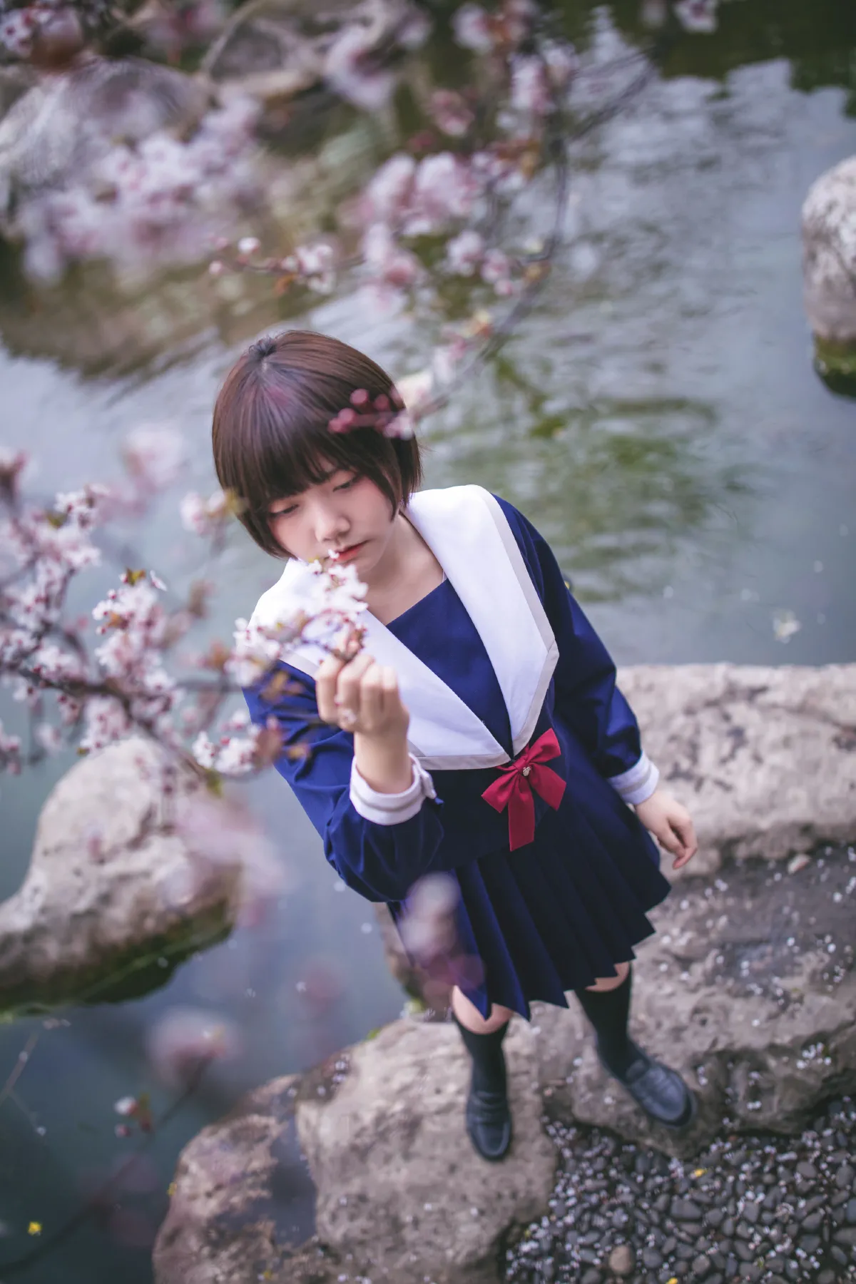 樱花树下3